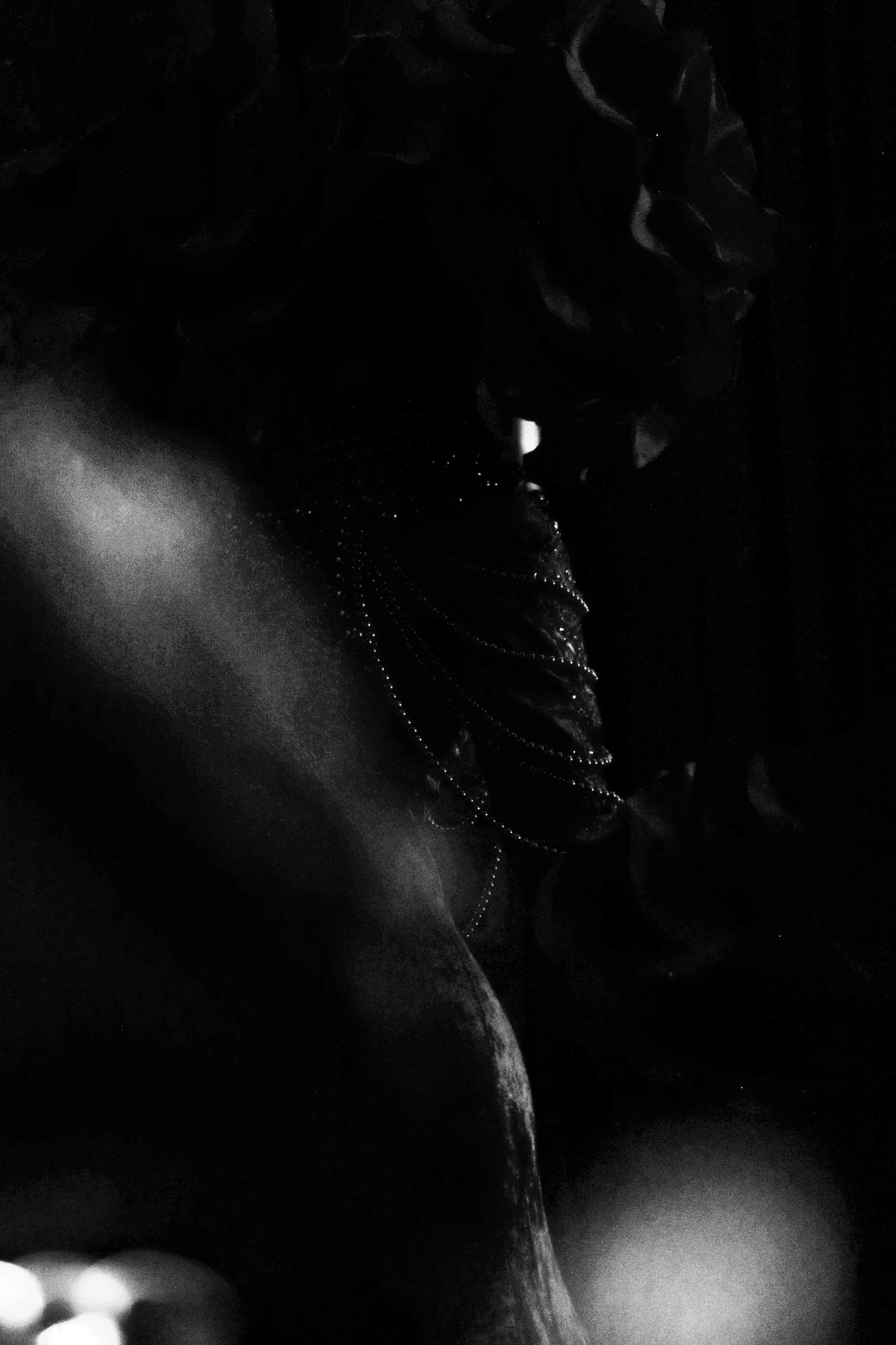 Gastrodvor 3YEARS. Дженбаз Павел — фотограф в Ялте