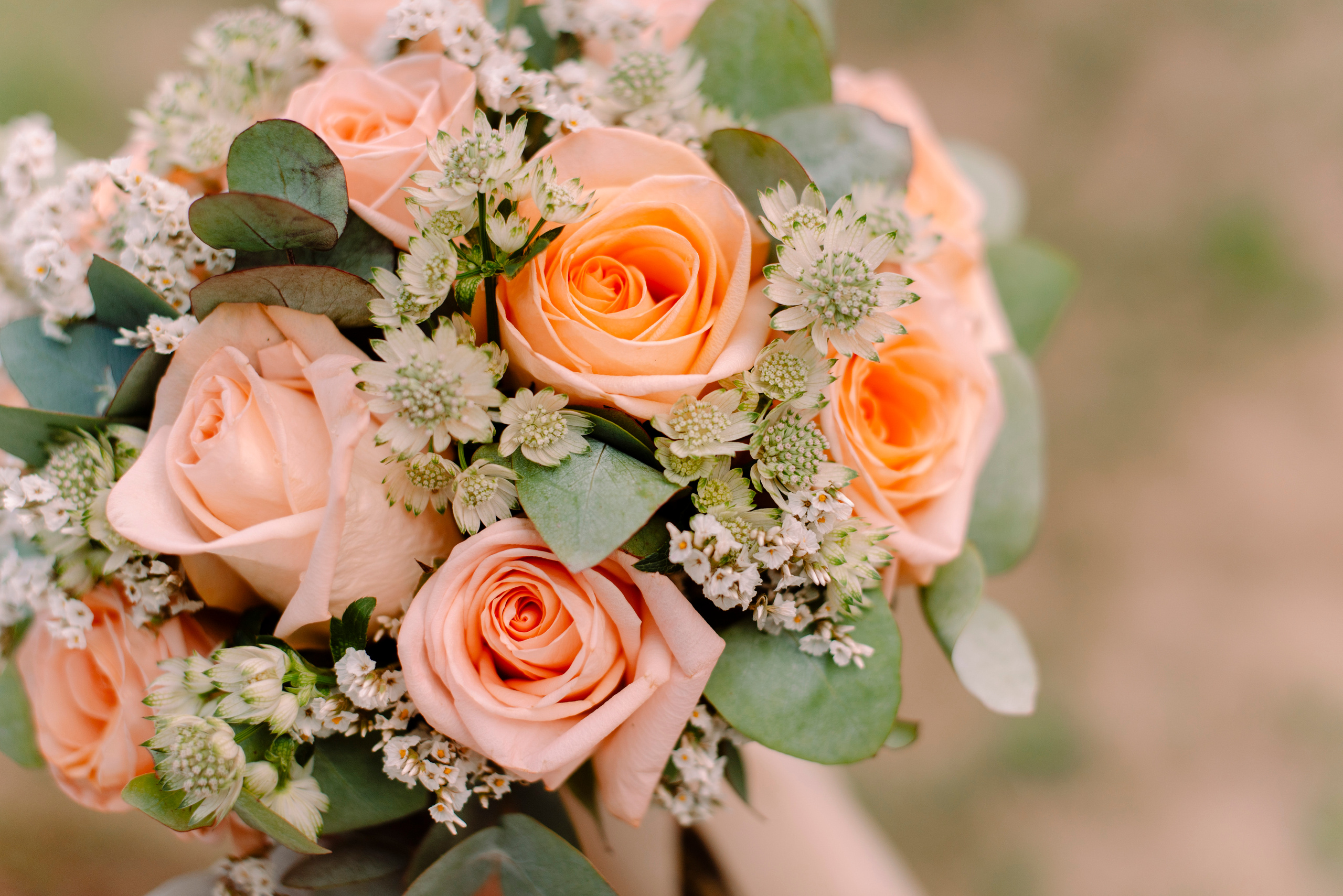 Таня и Леша. Семейный и свадебный фотограф в Рязани Лиза Голованова