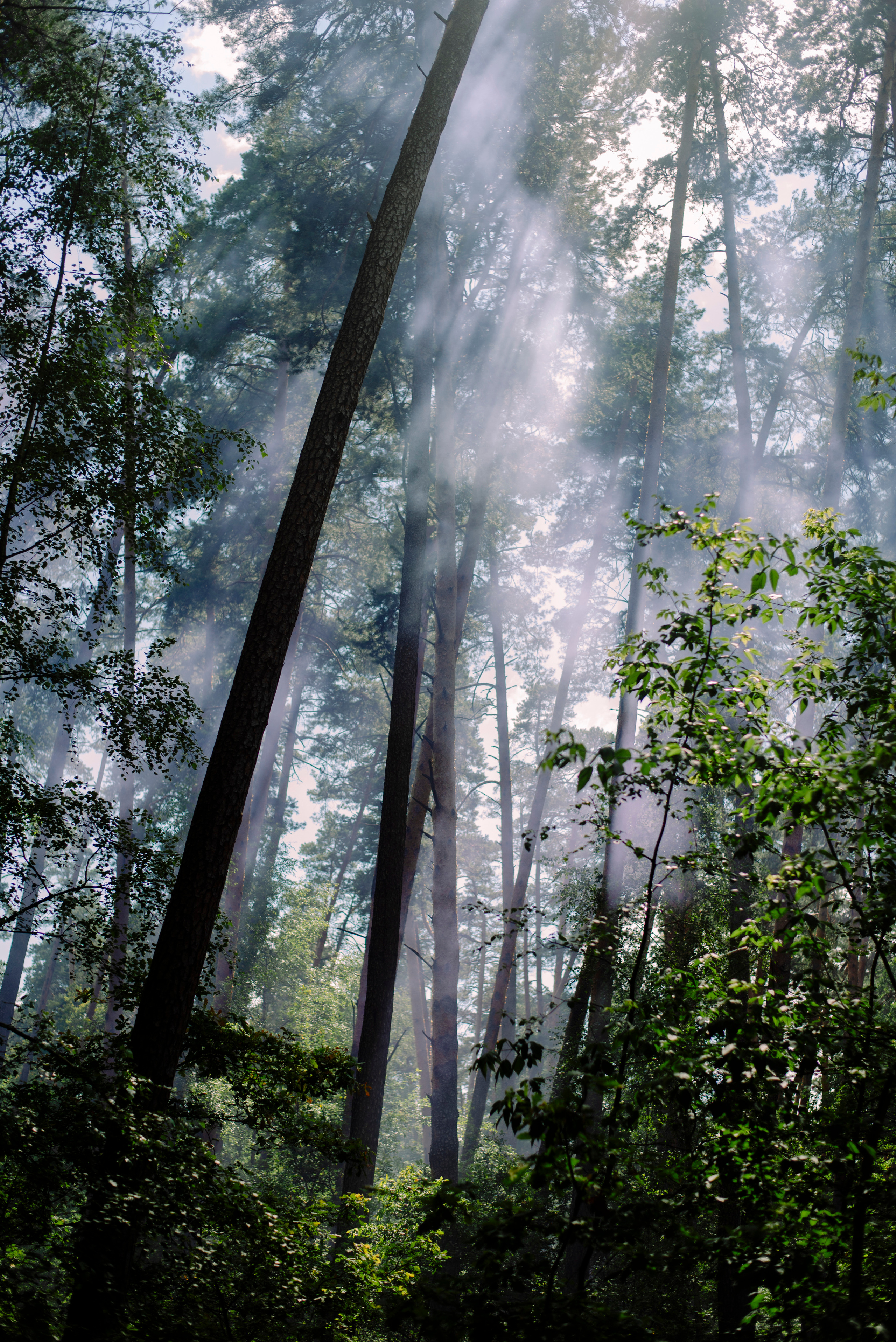 Таня и Леша. Семейный и свадебный фотограф в Рязани Лиза Голованова