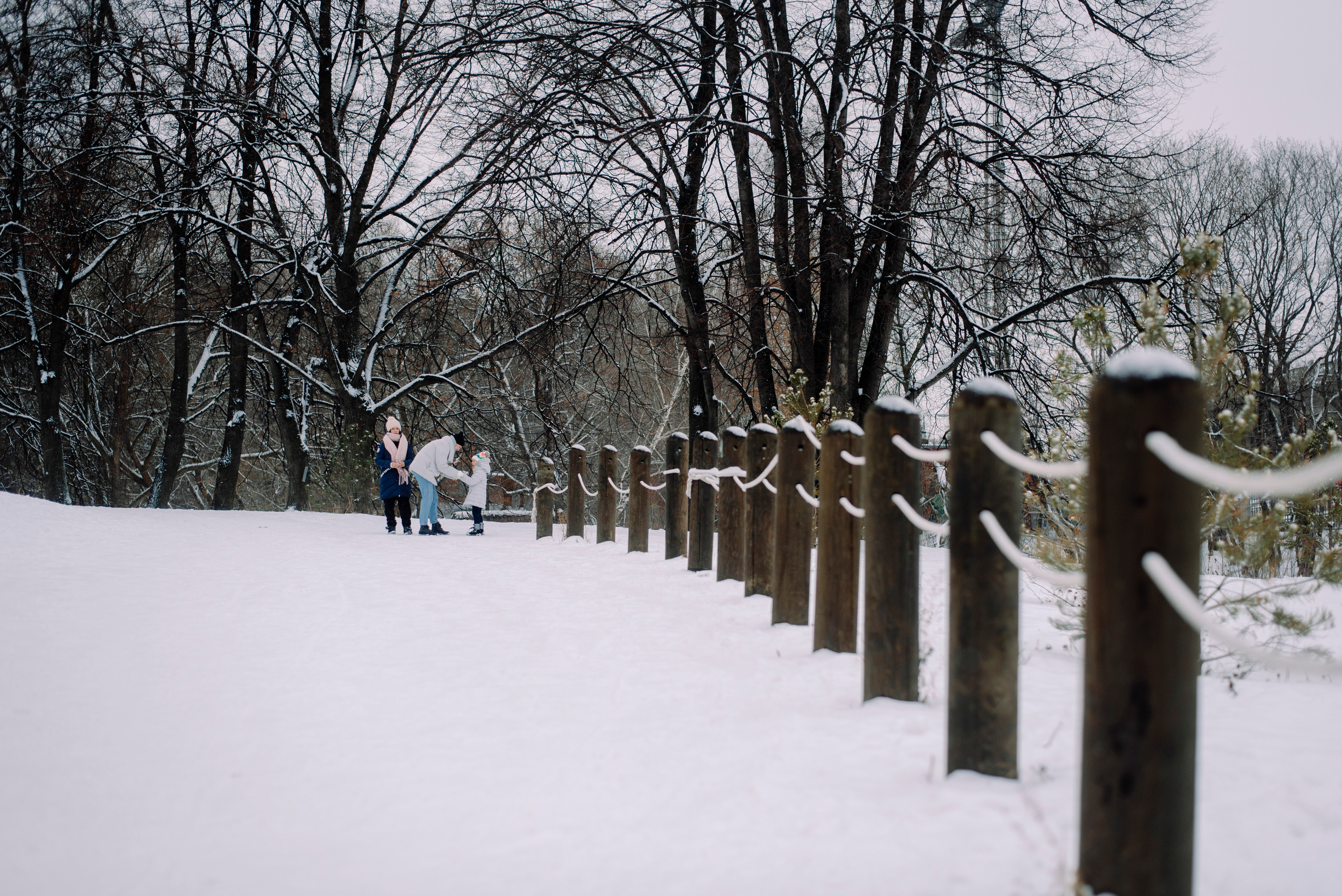 Зимняя прогулка в парке. Семейный и свадебный фотограф в Рязани Лиза Голованова