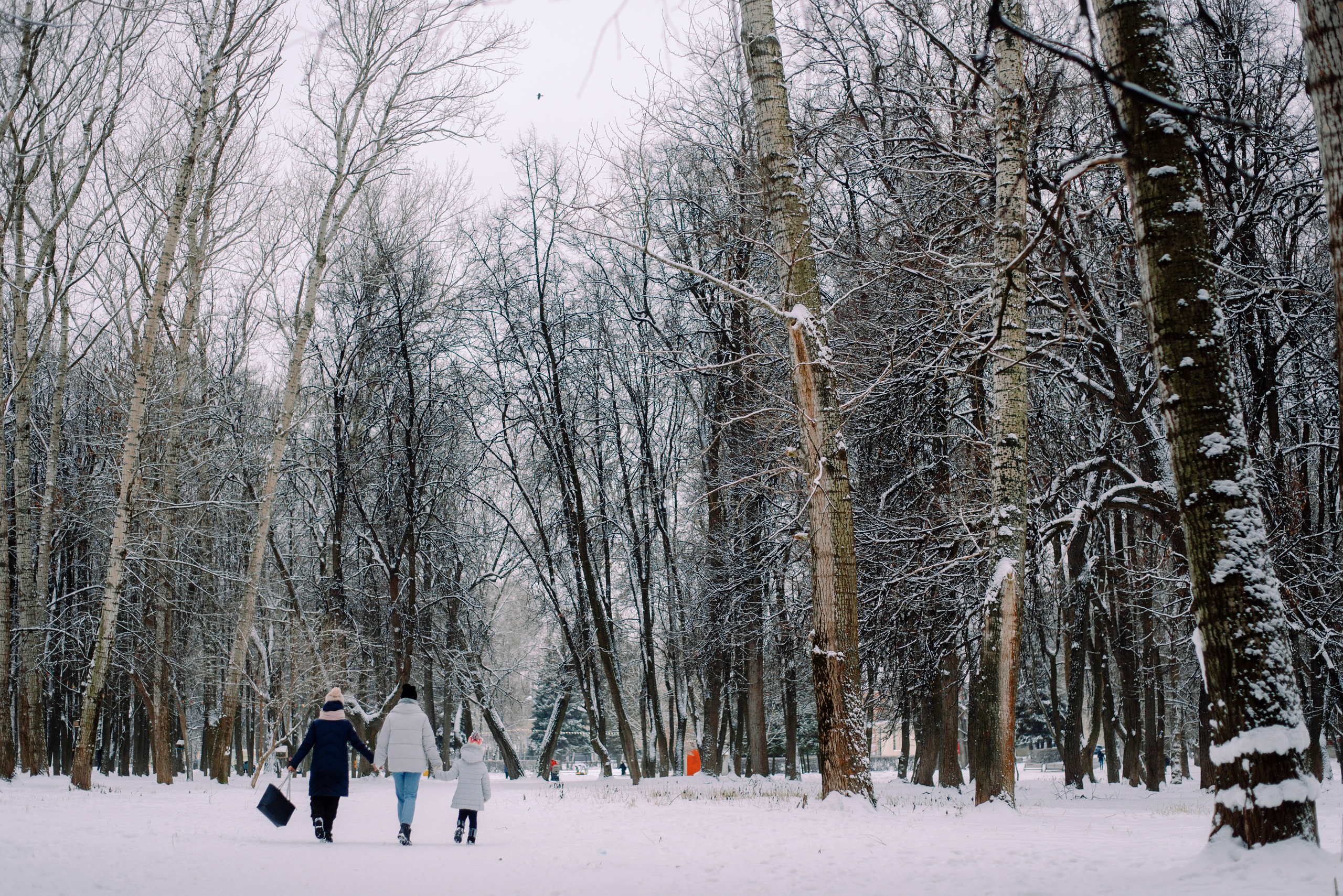 Зимняя прогулка в парке. Семейный и свадебный фотограф в Рязани Лиза Голованова