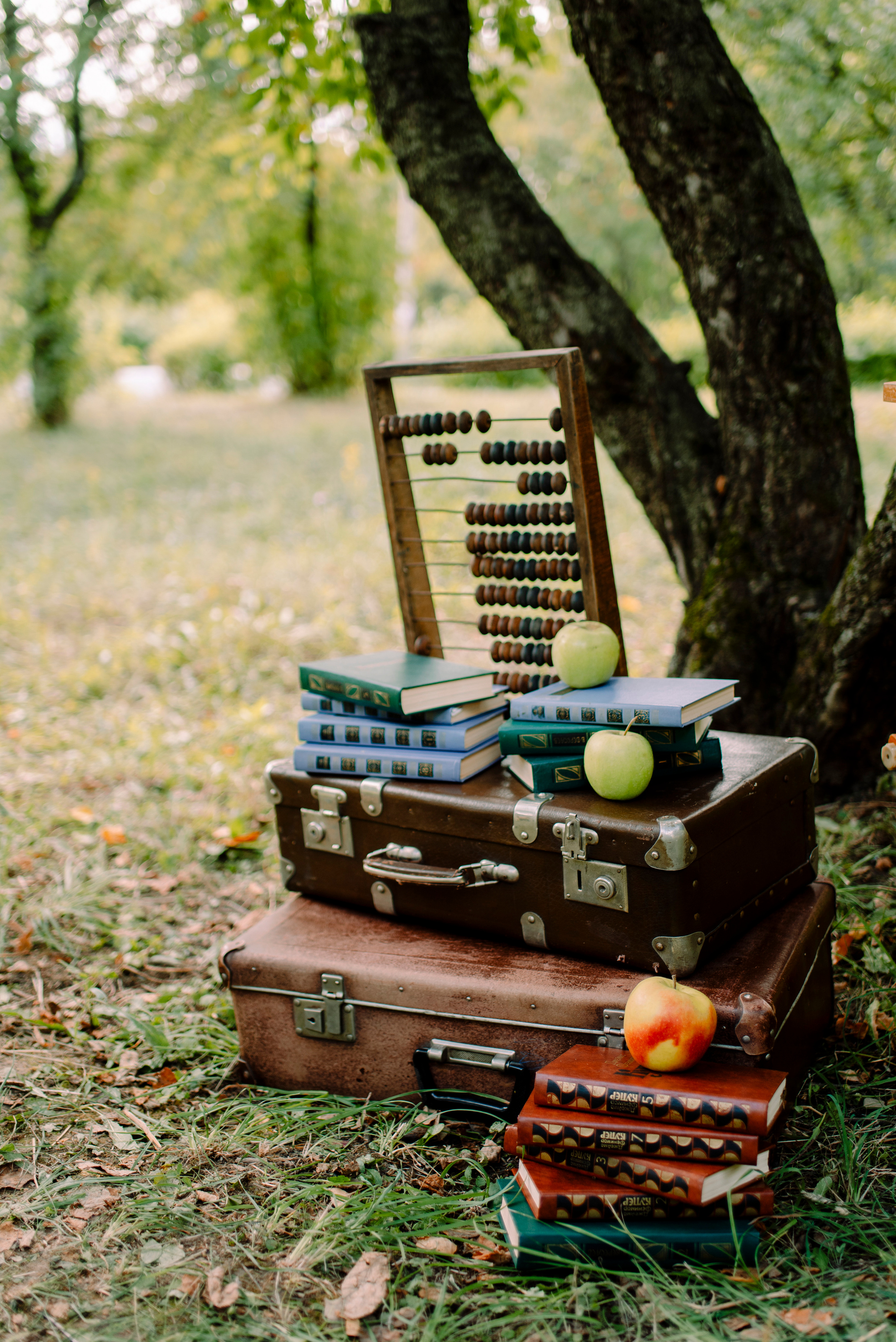 Арина и Артём. Семейный и свадебный фотограф в Рязани Лиза Голованова