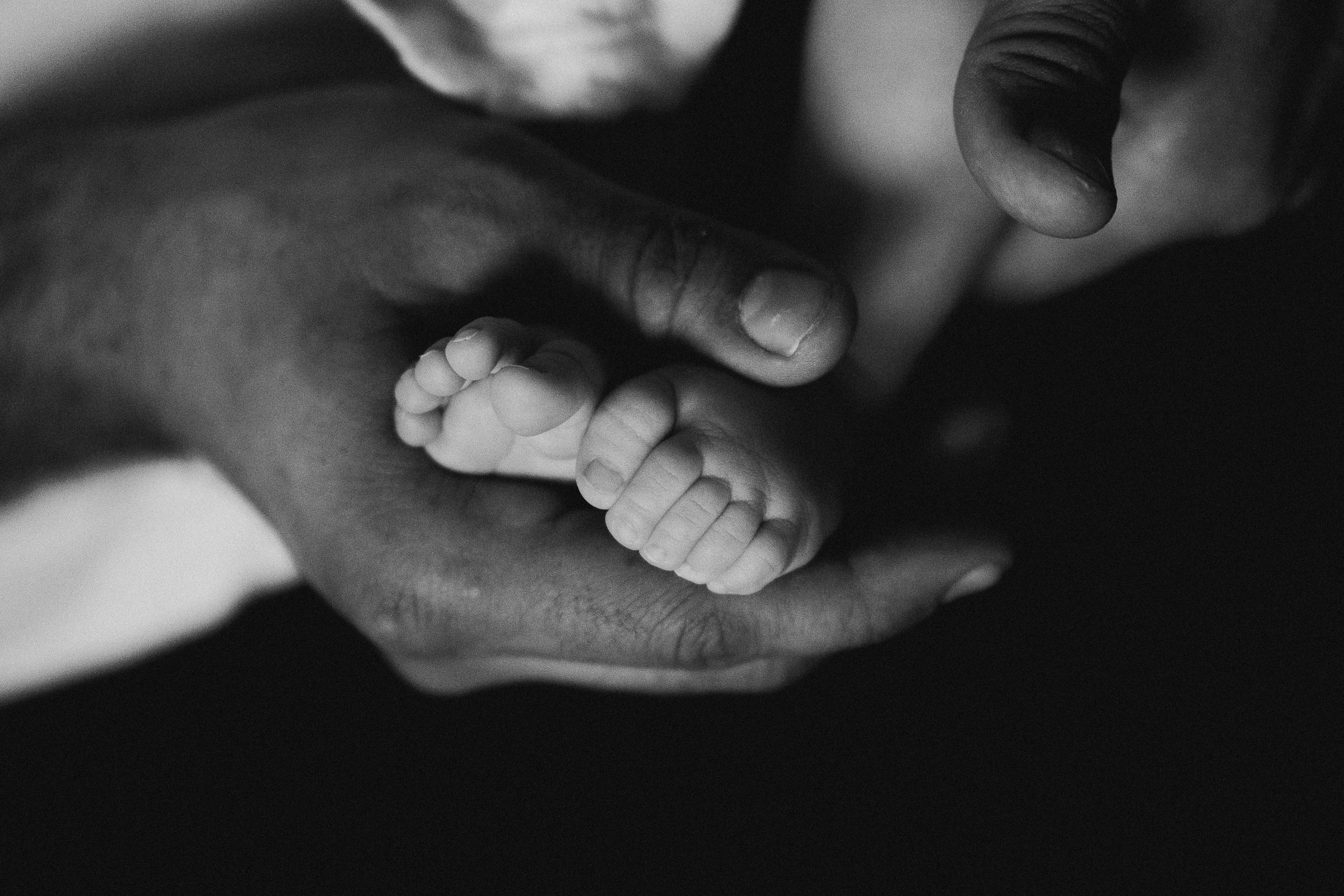 Там где кошки поют…. Свадебный и семейный фотограф в Абакане Василевский Алексей