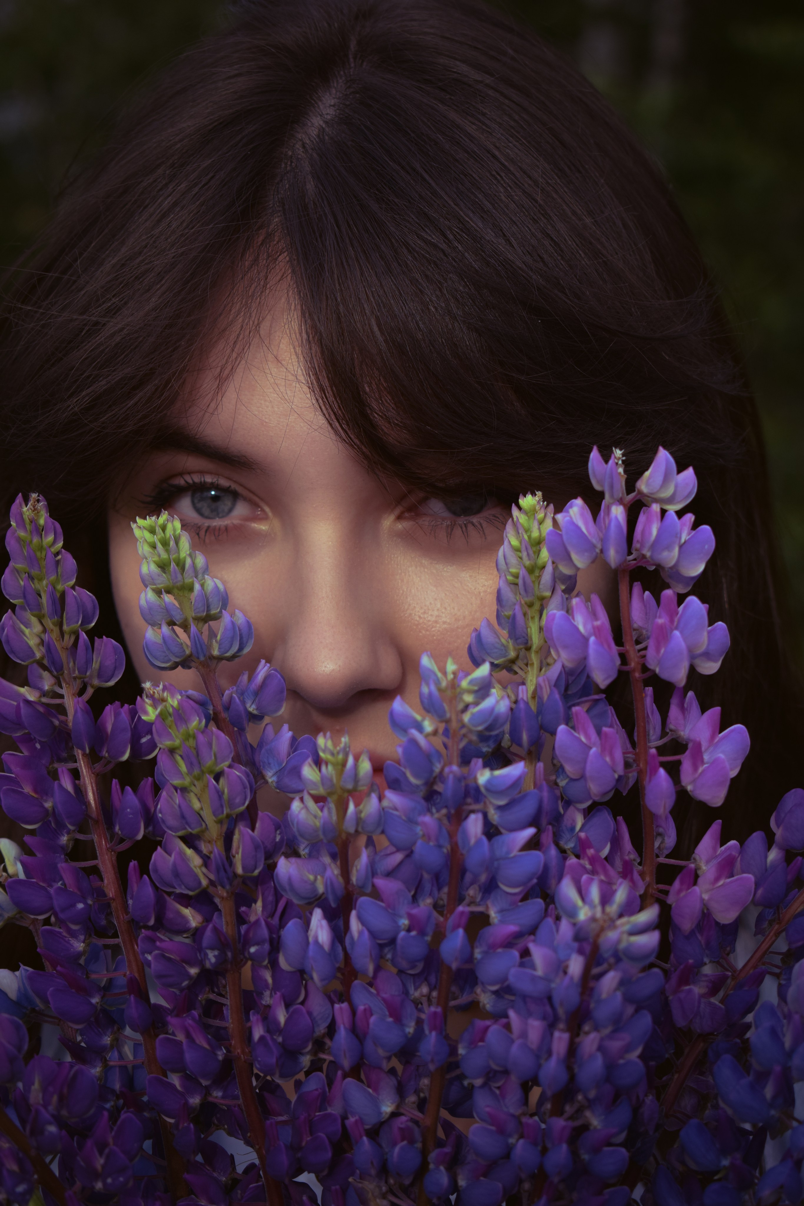 Сьемка в люпинах. Фотограф Москва