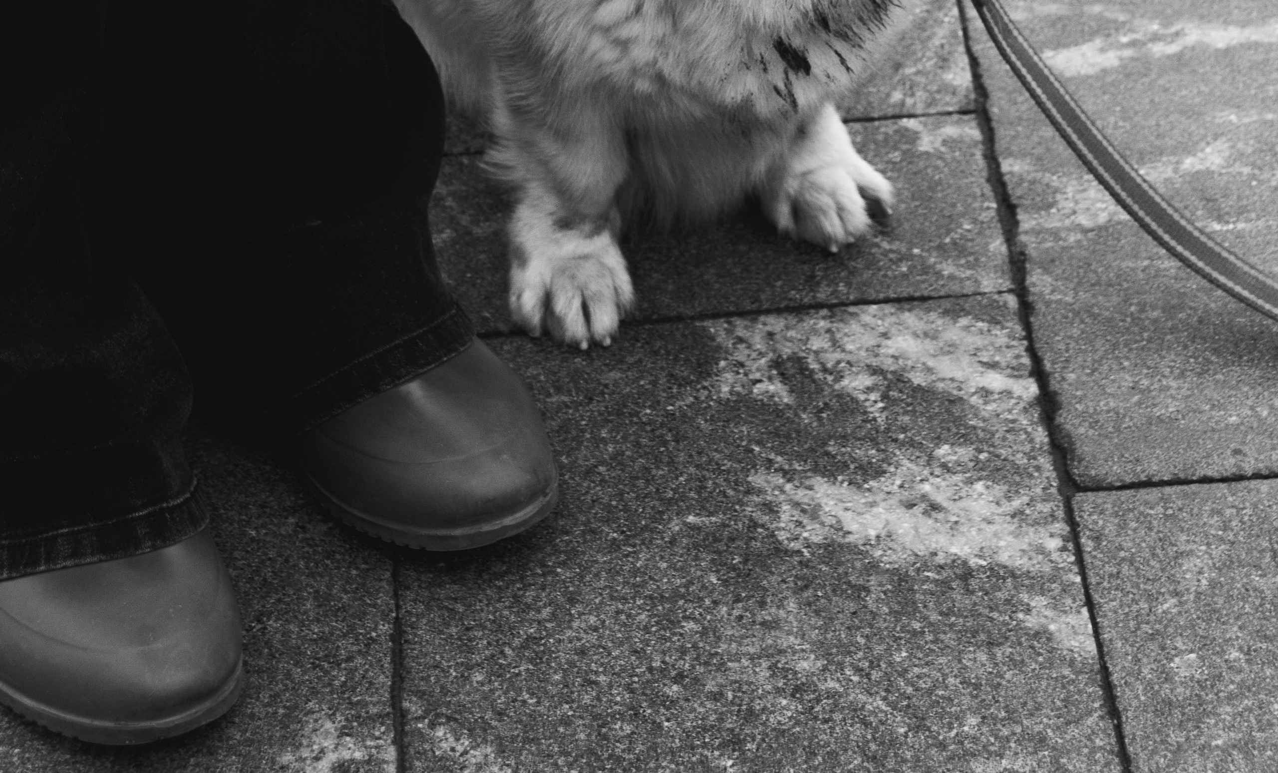 Уличная съемка. Ph | Tyumen