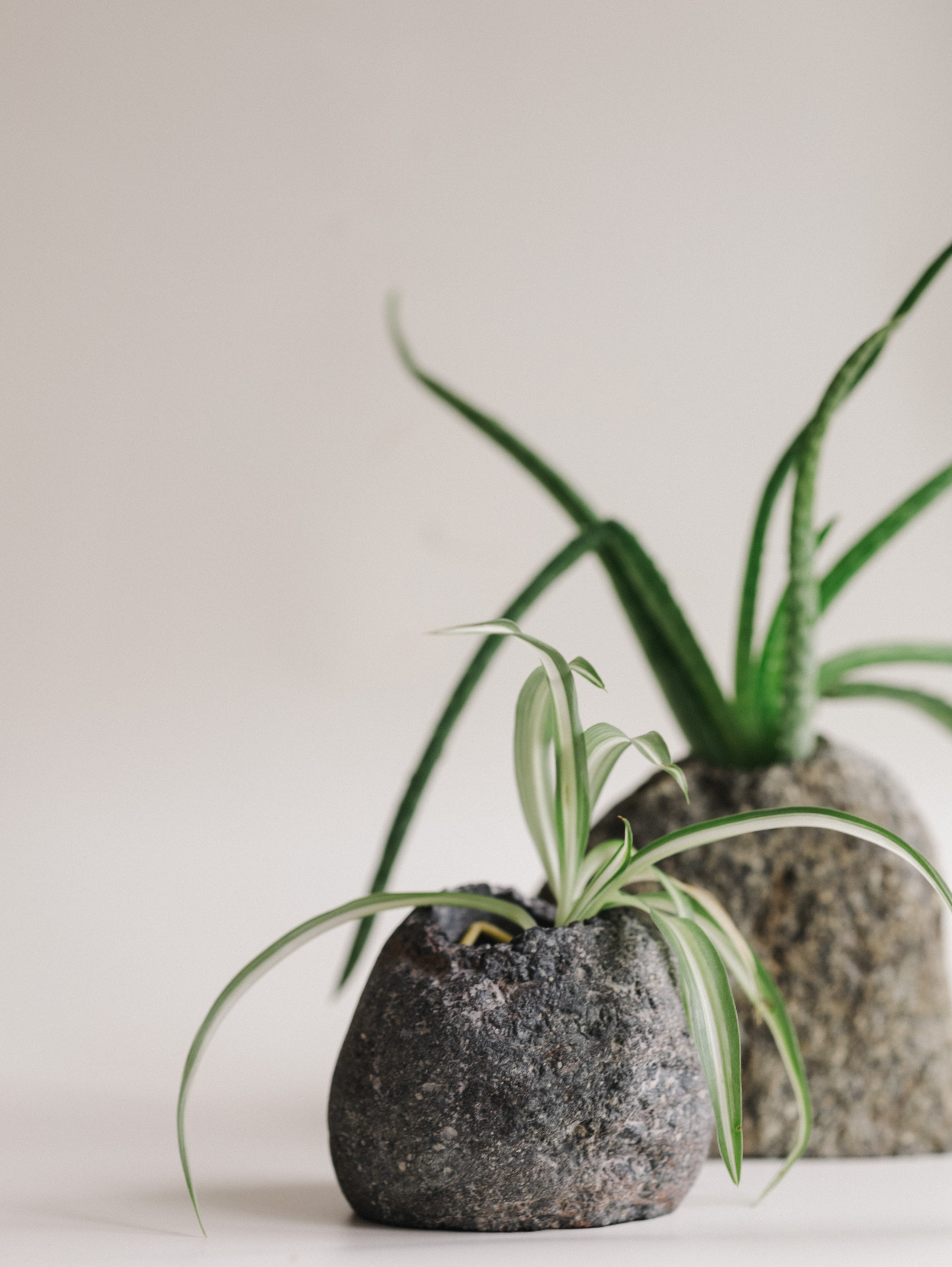 Подсвечники и салфетницы. Алёна Стерхова — Предметный и портретный фотограф. Ижевск