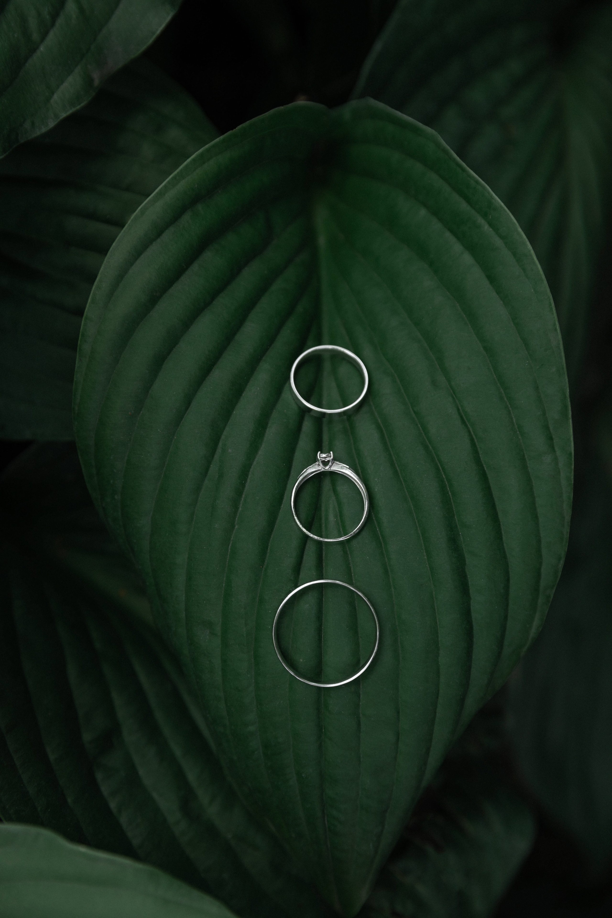 Свадебный и портретный фотограф в Воронеже Алфёрова Оксана