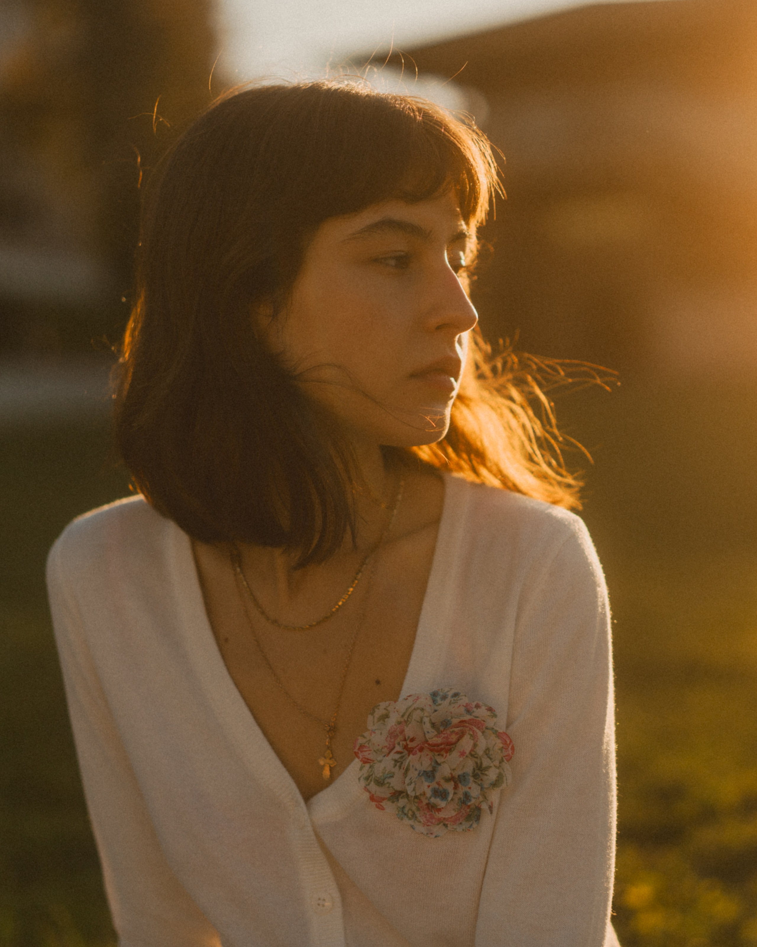 Film-style presets and looks for photos and videos
