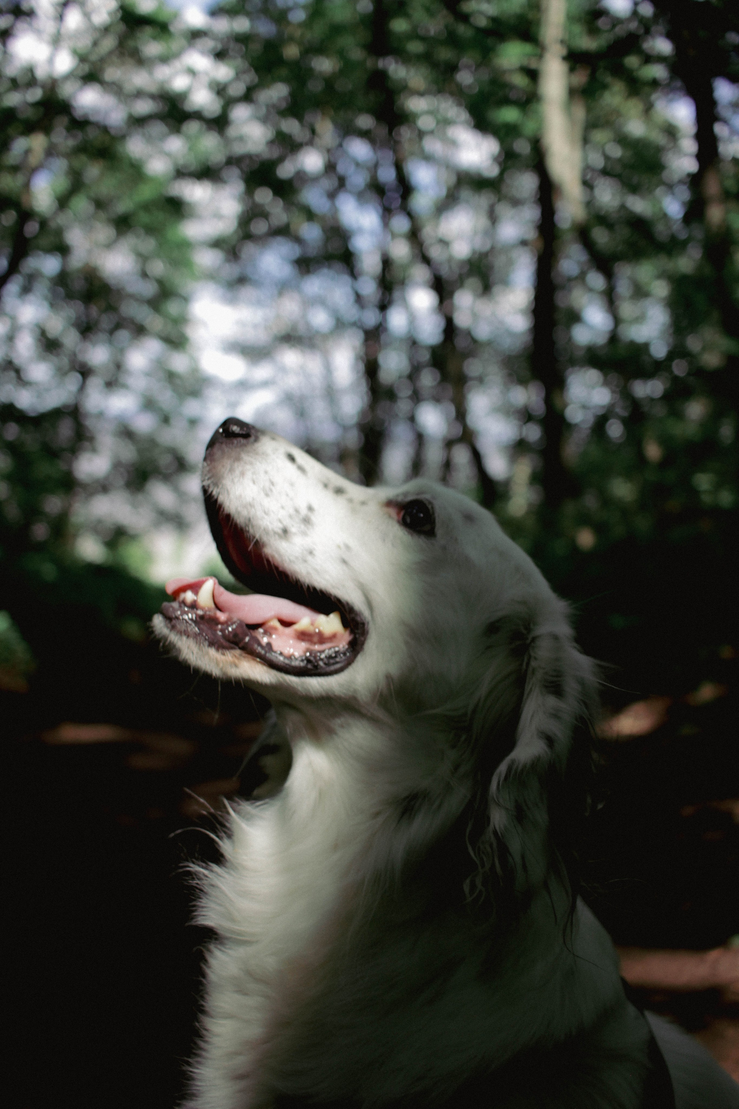 Yura and LosK. Фотограф в Казани / Регина Суфиянова