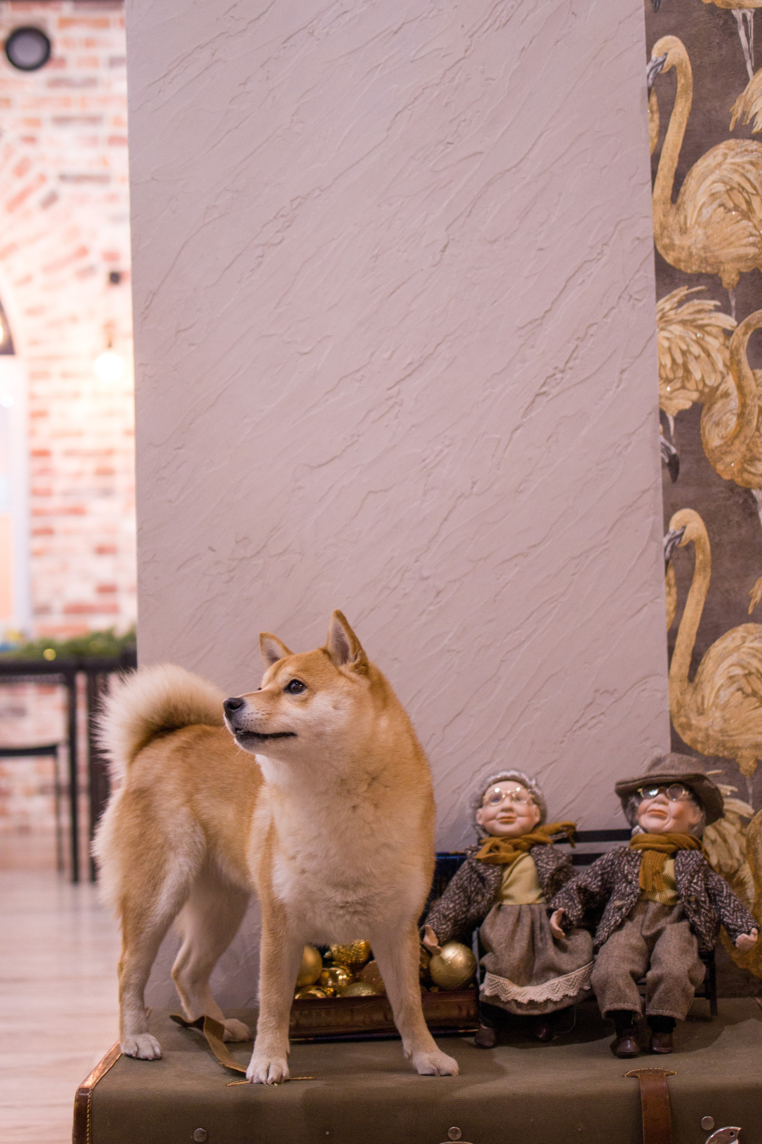 Диана. Художественная фотография