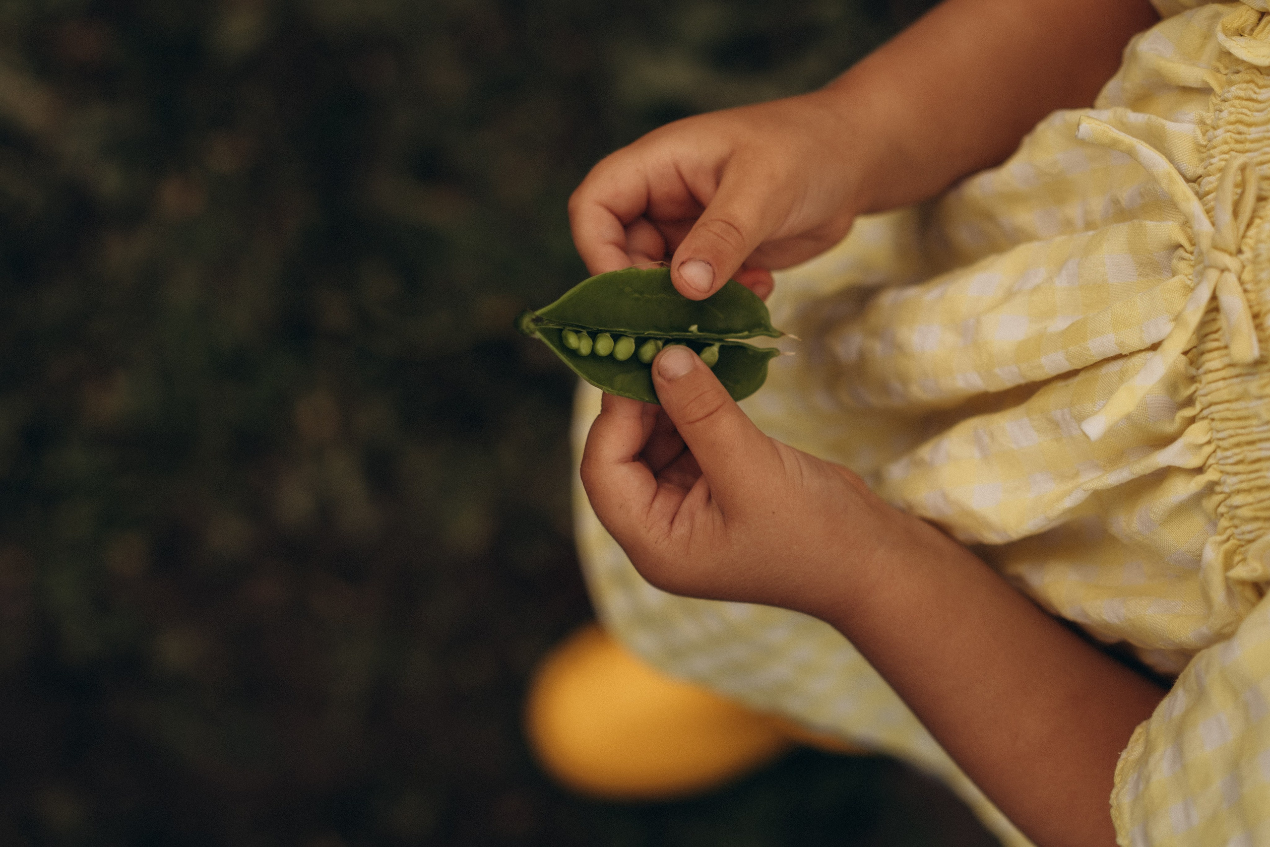 Удачные дела. Семейный фотограф в Ангарске/ Иркутске