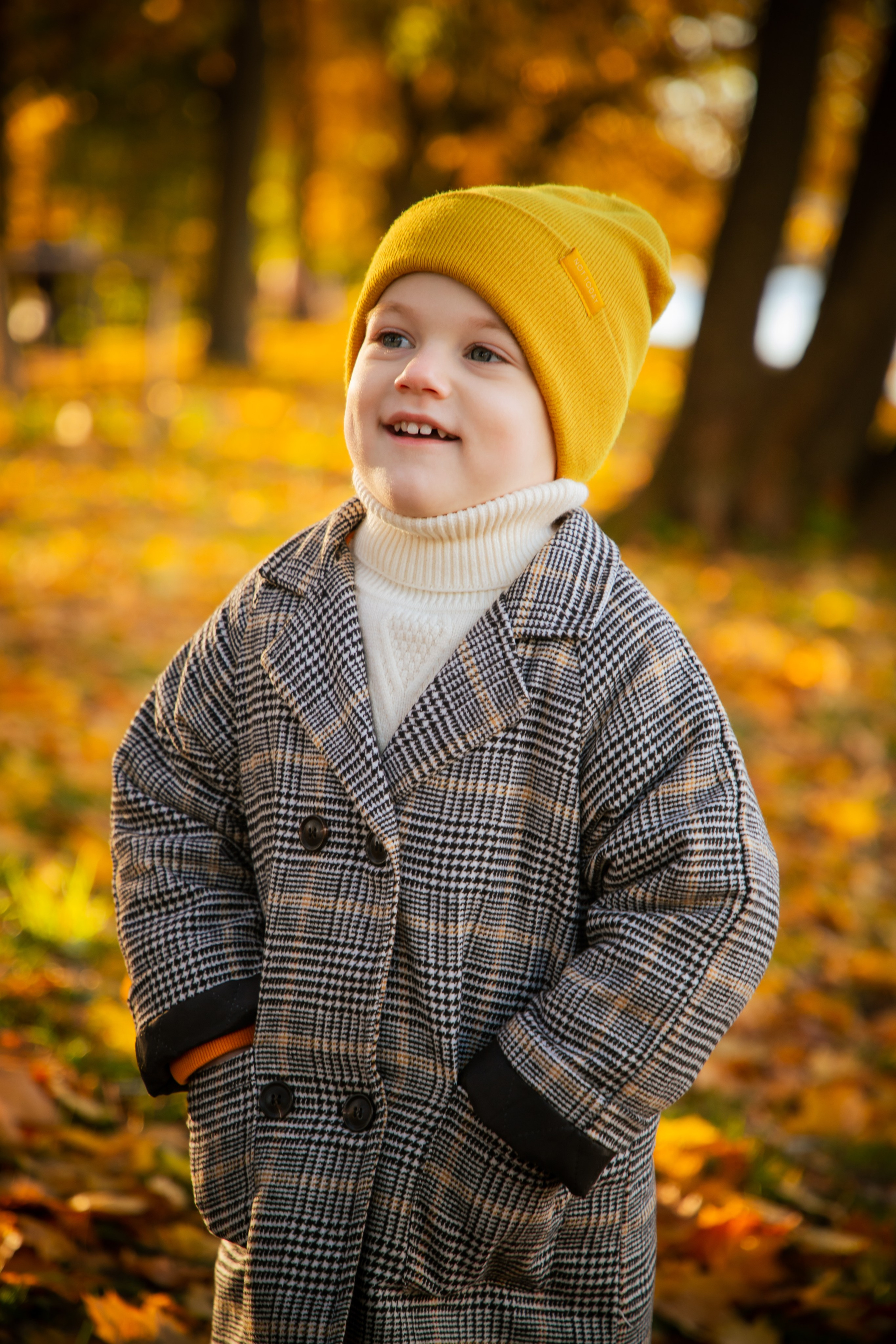 Осень. Фотограф Алексей Шуля — портфолио