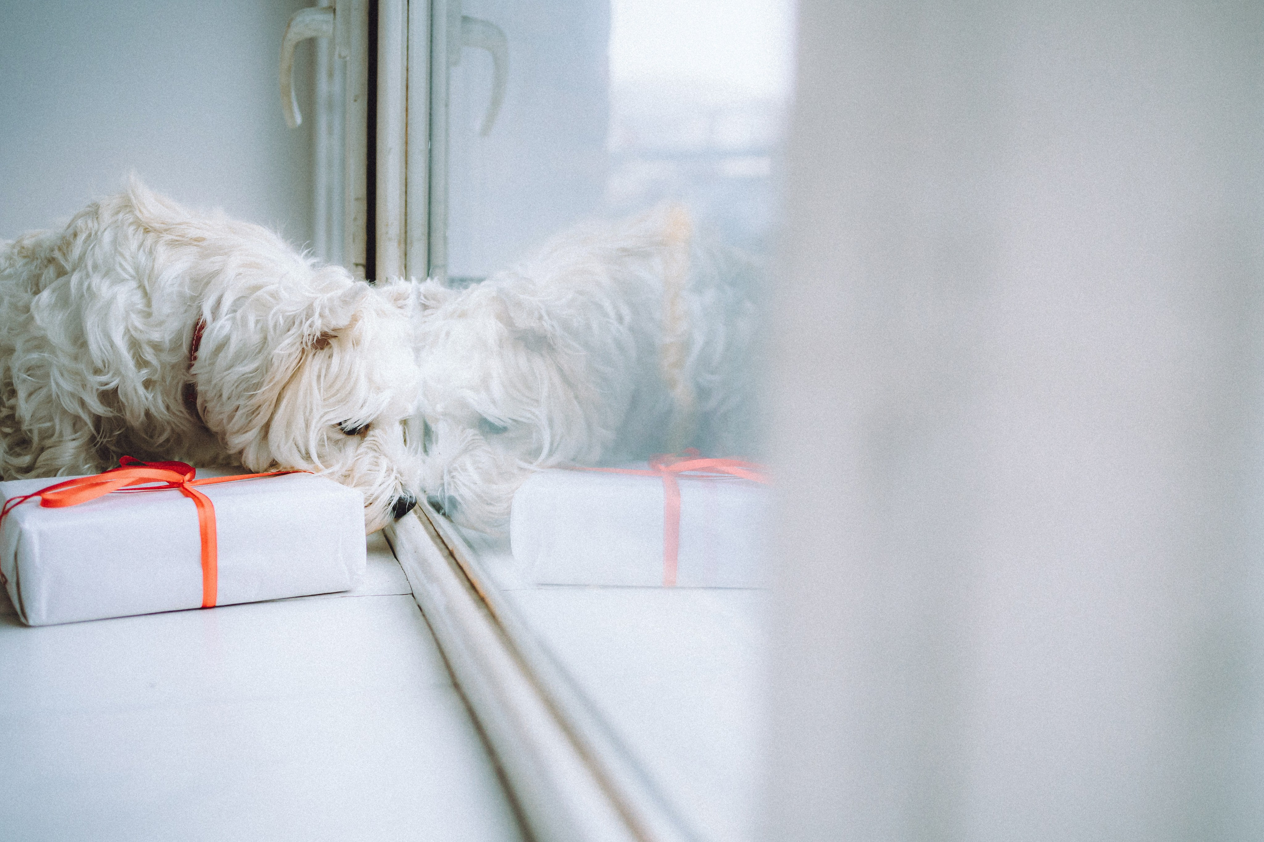 Вика, Глеб и Тори