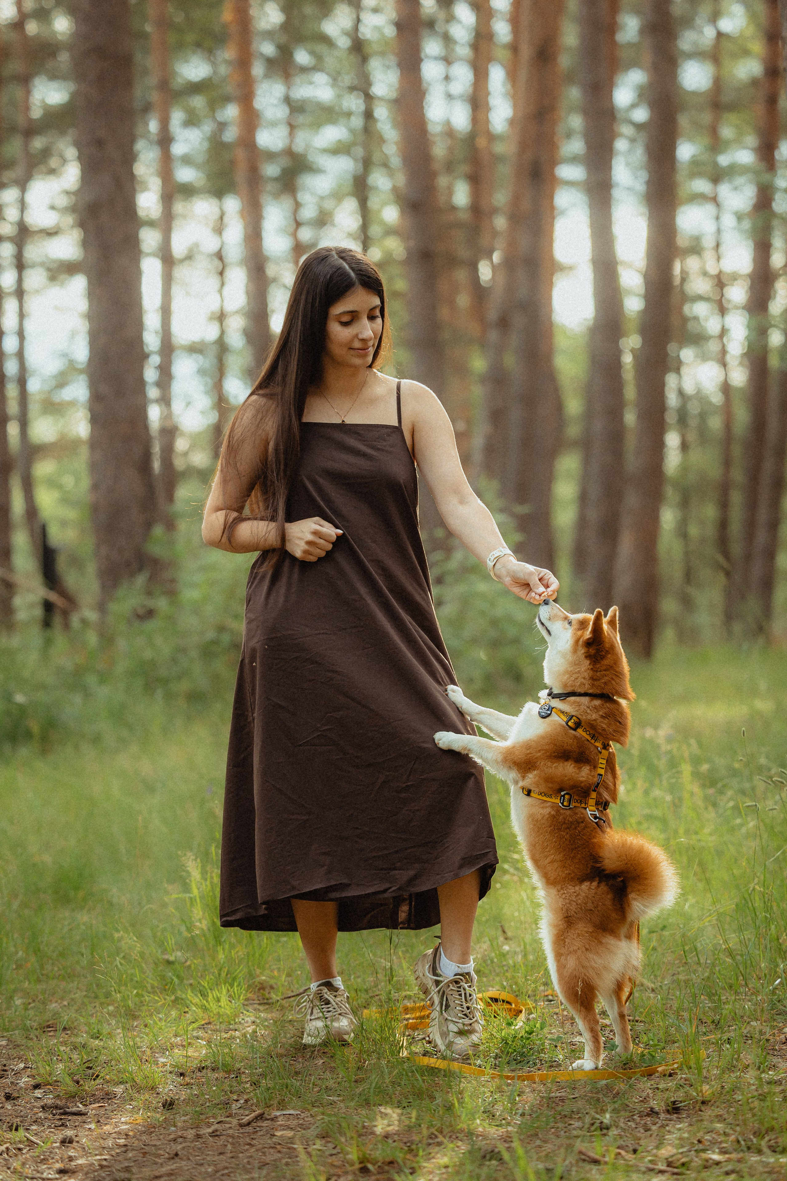 Выездной дог-тренинг от школы «Шерсть имею»