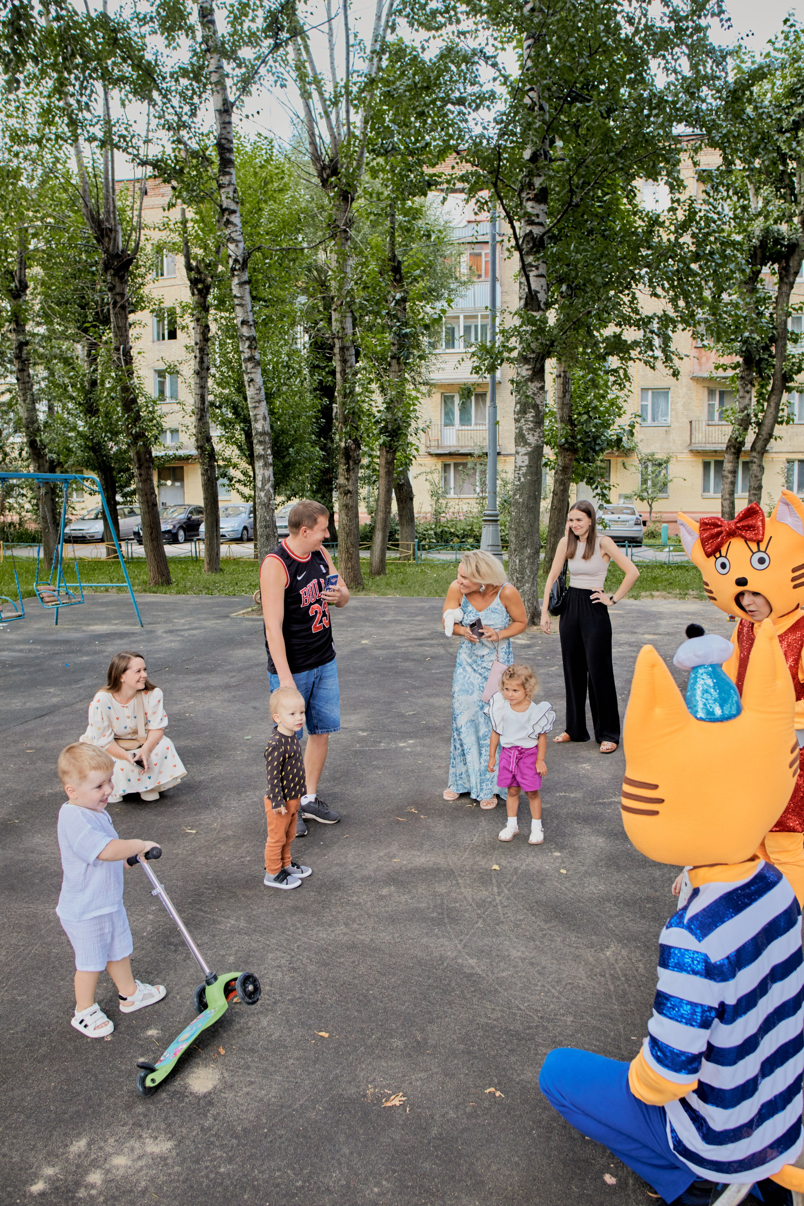 Три кота. Фотограф Москва