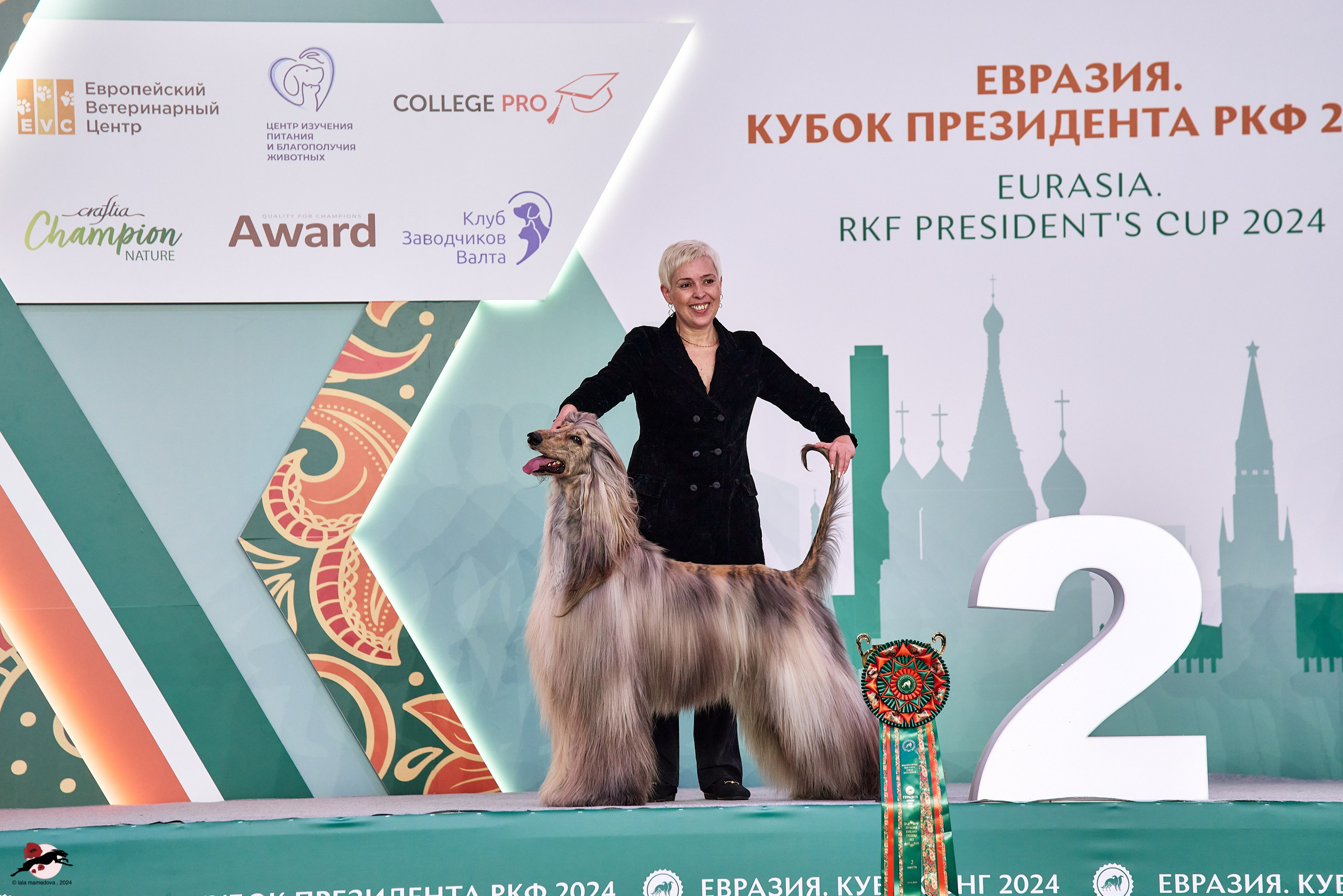 17.11.2024 «ЕВРАЗИЯ. КУБОК СНГ 2024»