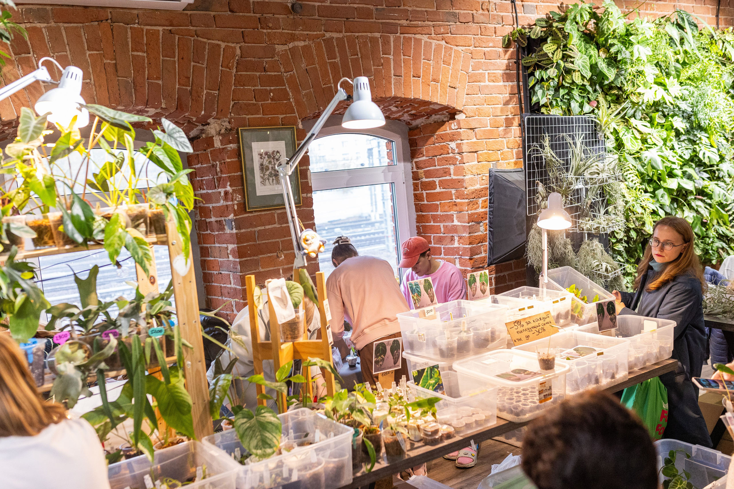 GreenRare ярмарка 2024. Александра Куликова фотограф, Москва