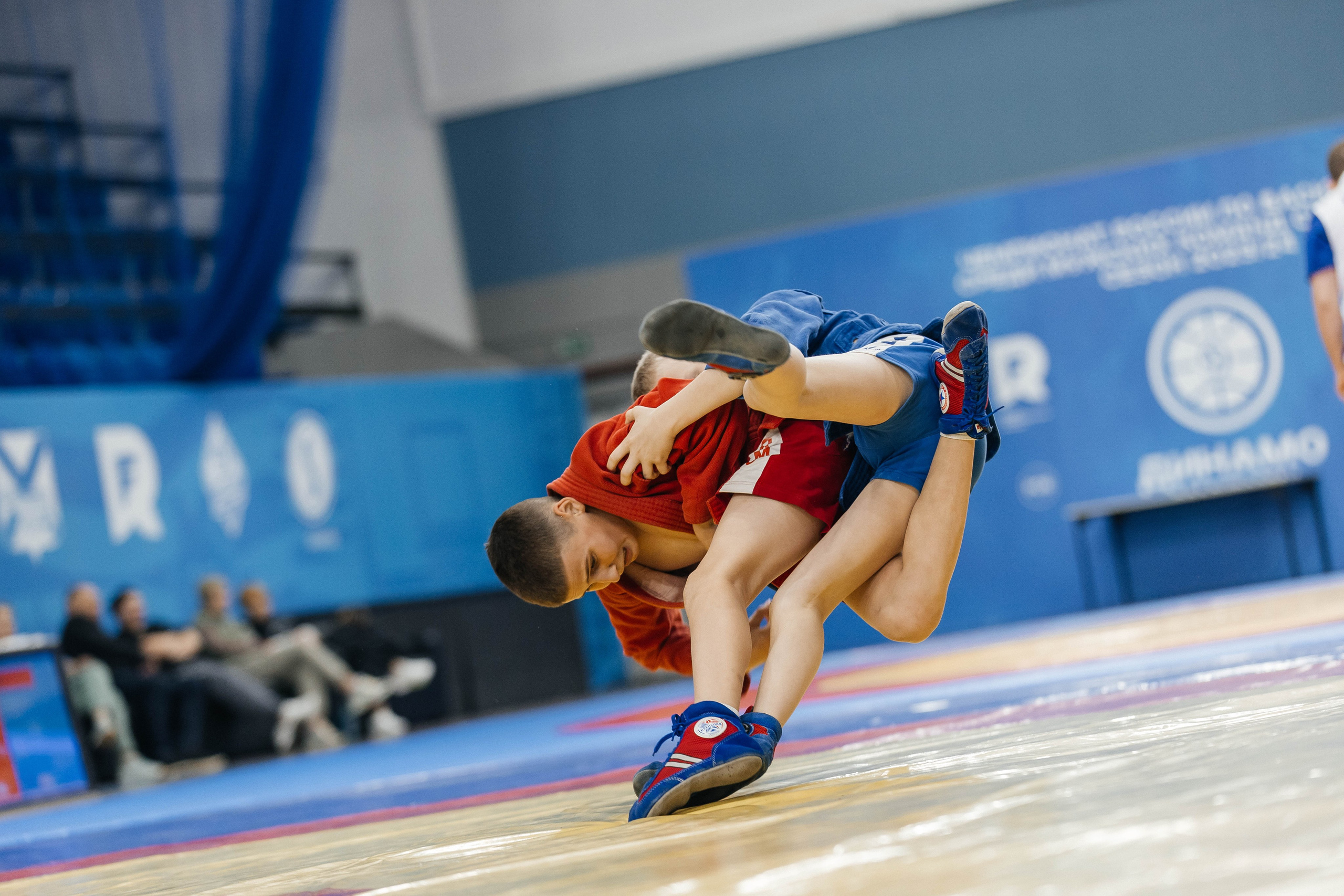 Sambo Championship. Maxim Tsoy Photography