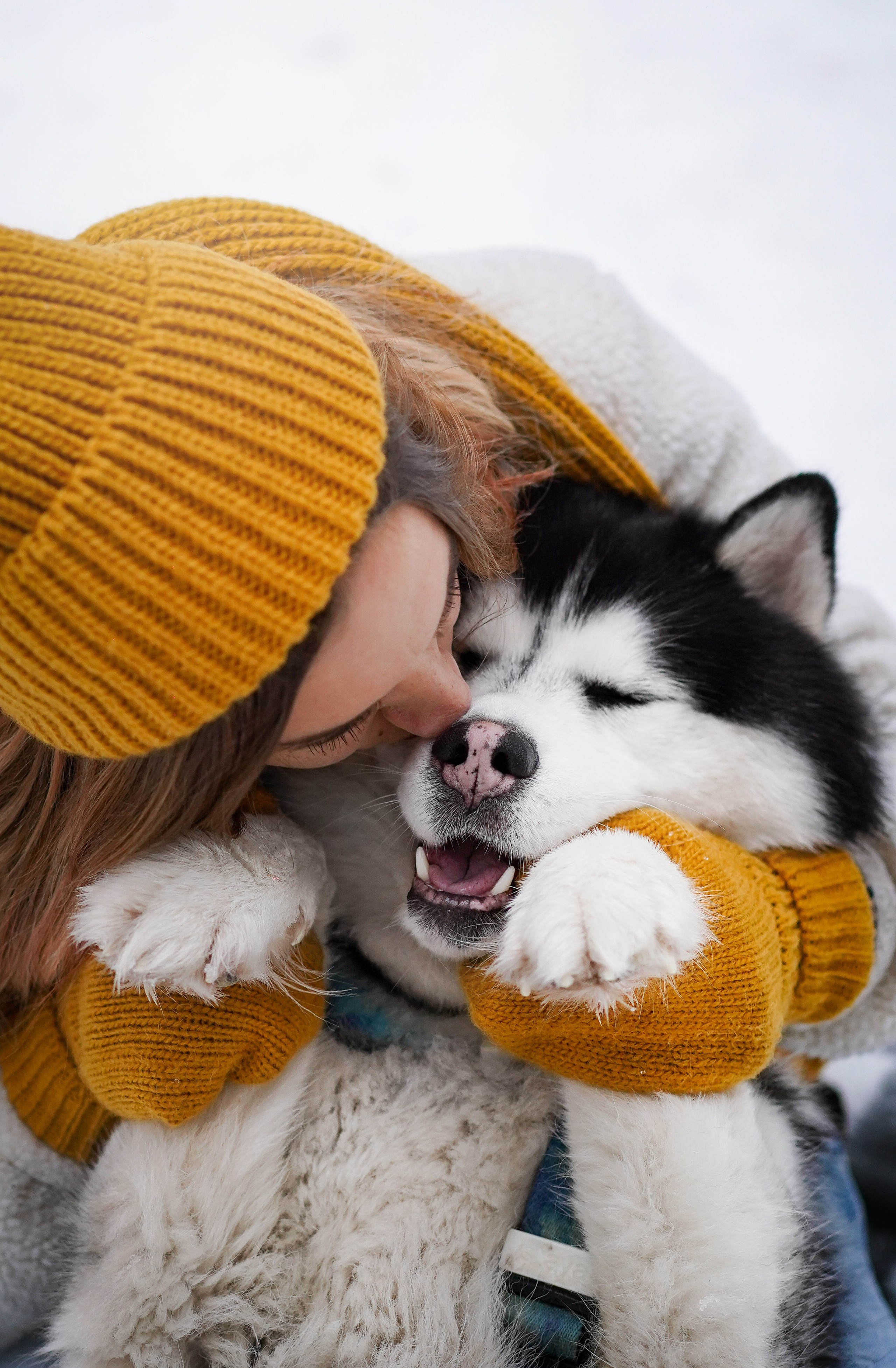 Лора Джанго и Хэппи. Фотограф-анималист в Санкт-Петербурге Яна Мартынова