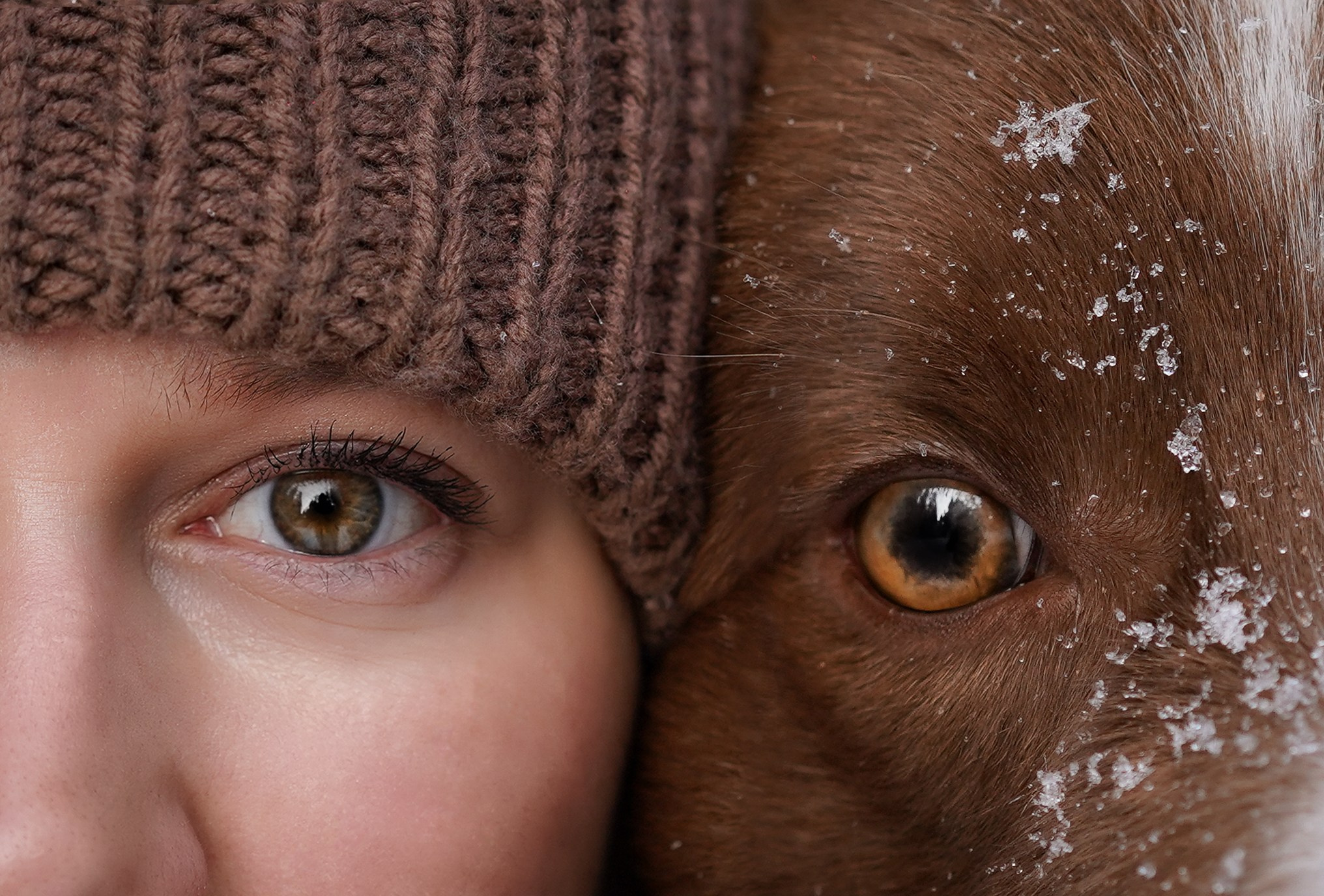 Катя и Ская. Фотограф-анималист в Санкт-Петербурге Яна Мартынова