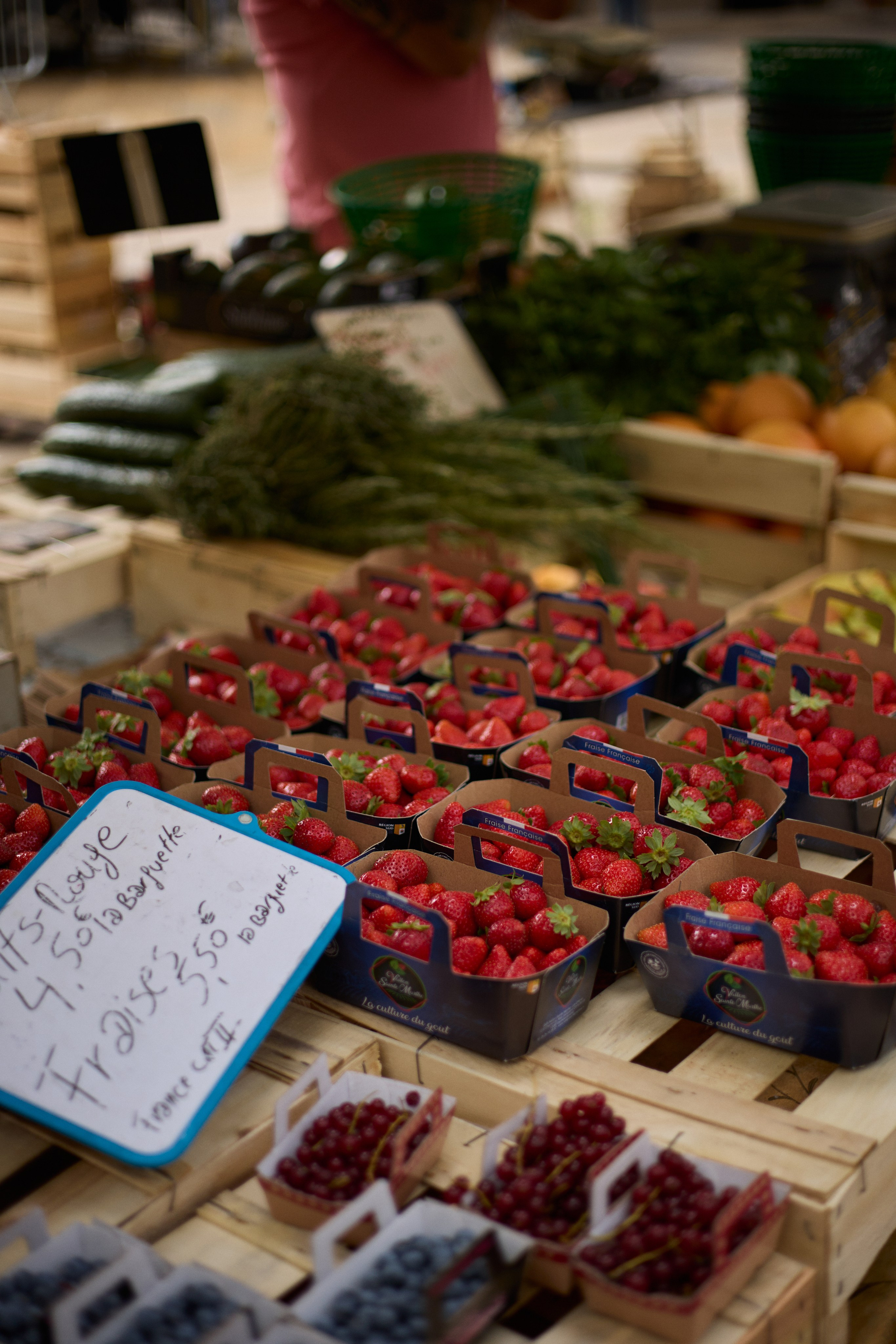 France (Provence & Paris) Sep'25. Анастасия Зобнинá — фотограф в Санкт-Петербурге/СПб