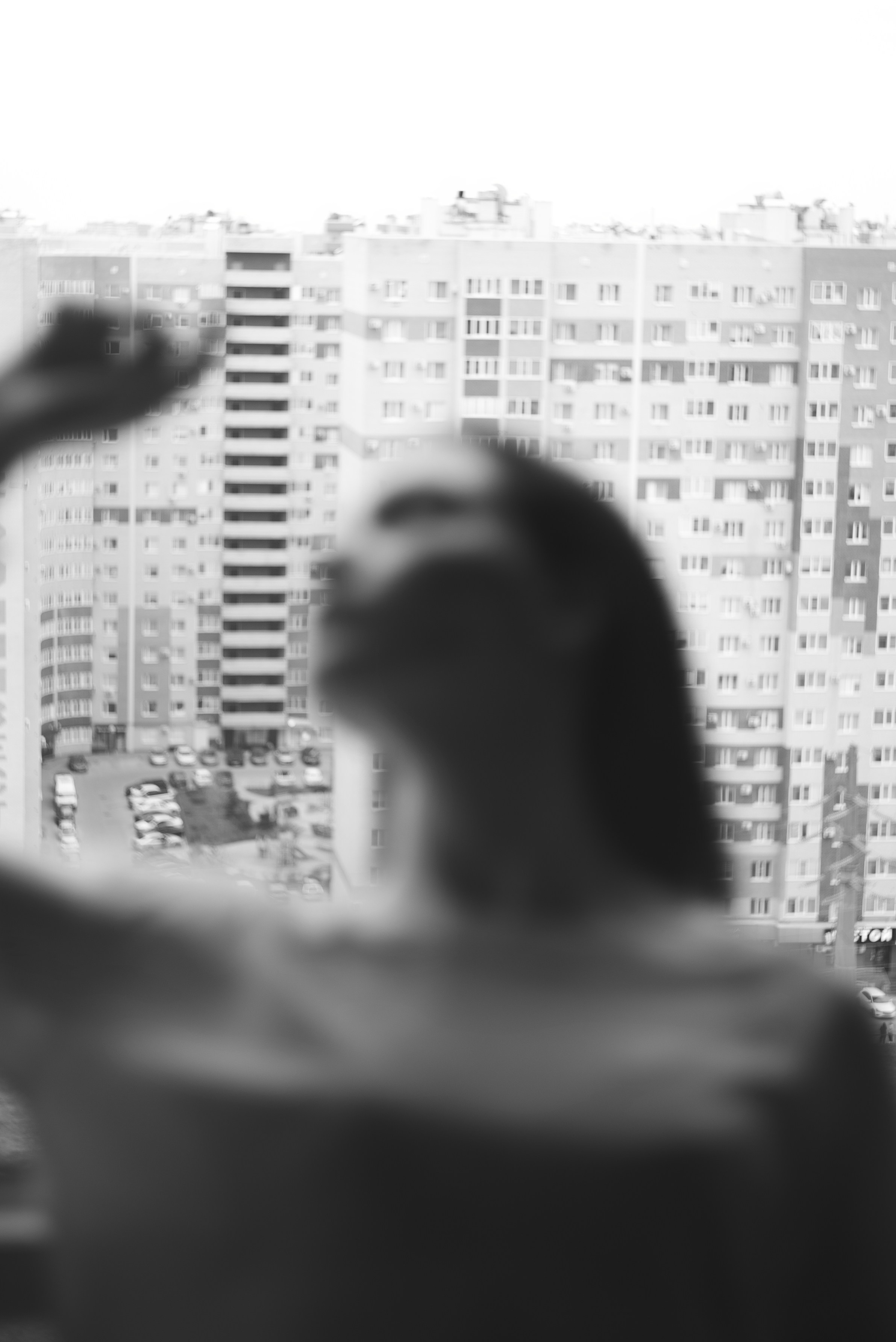 Милана. Фотограф Плеханов Дмитрий