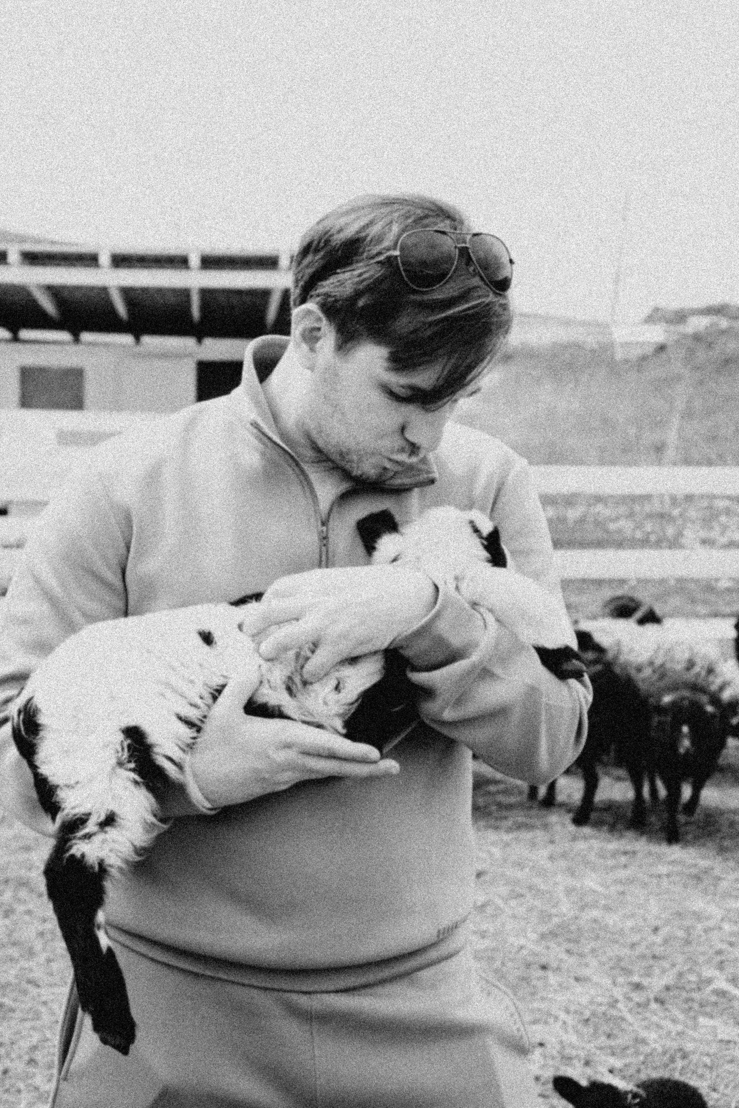 Ферма Альпак. Профессиональный фотограф, Санкт-Петербург — Виктория Богомолова