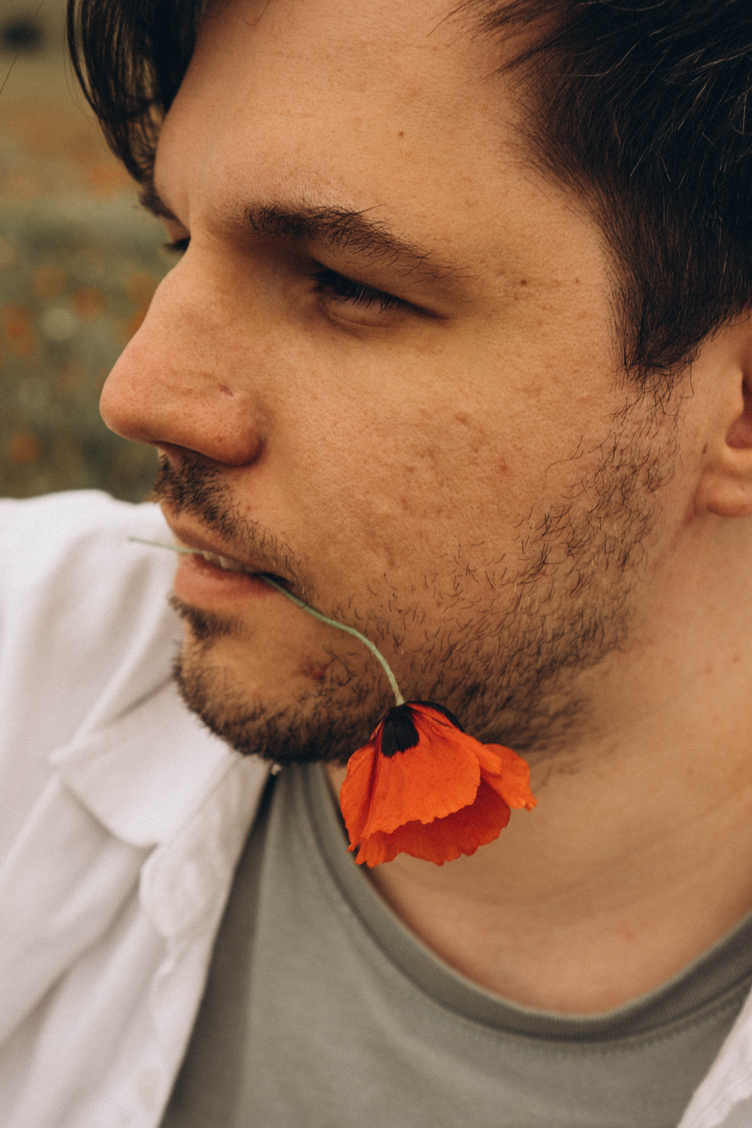 Маки. Профессиональный фотограф, Санкт-Петербург — Виктория Богомолова