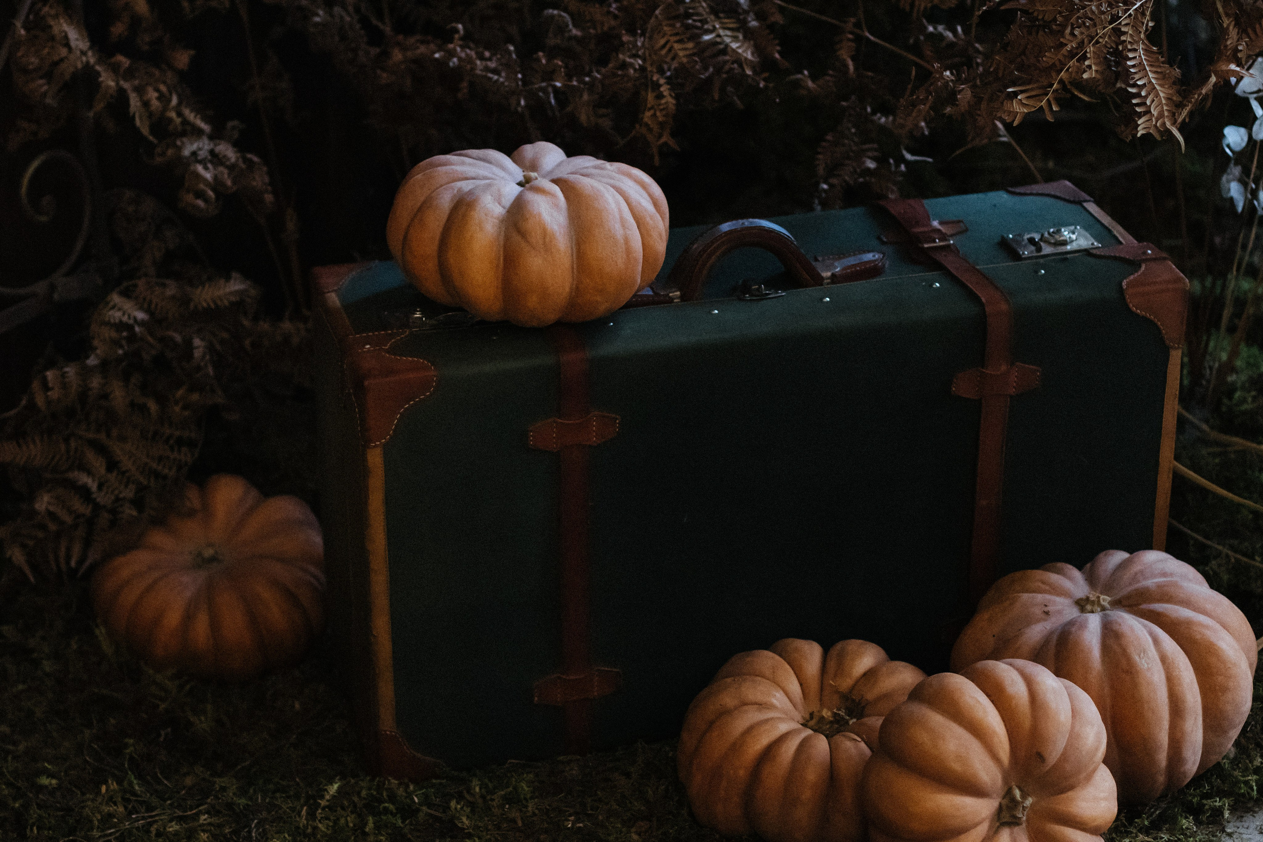 Корпоративы // Дни рождения. Коммерческий фотограф в Санкт-Петербурге (СПб) Екатерина Панчёха, Панчёшка