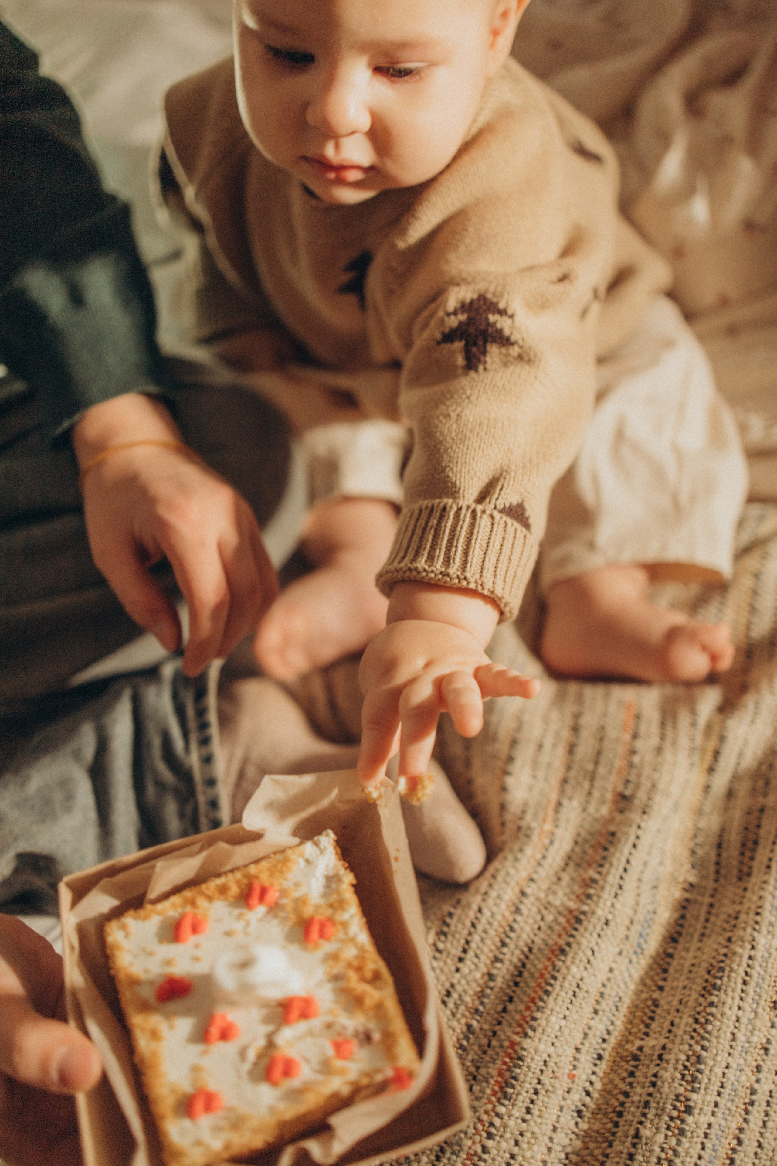 Новогодняя история. Семейный фотограф в Москве Анастасия Шалда