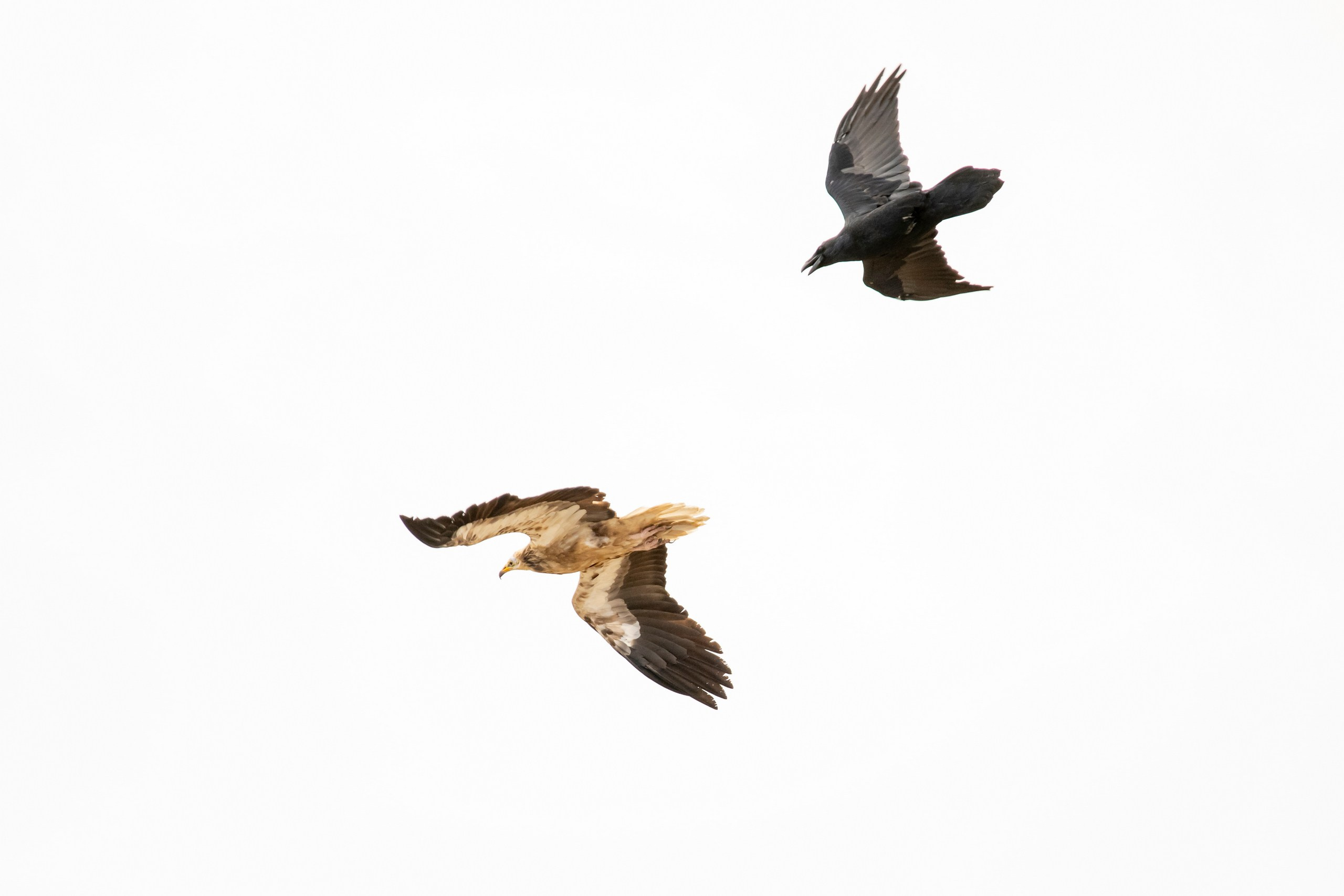 Природа Дагестана, сентябрь 2024. Foto-Zuev фотография как искусство