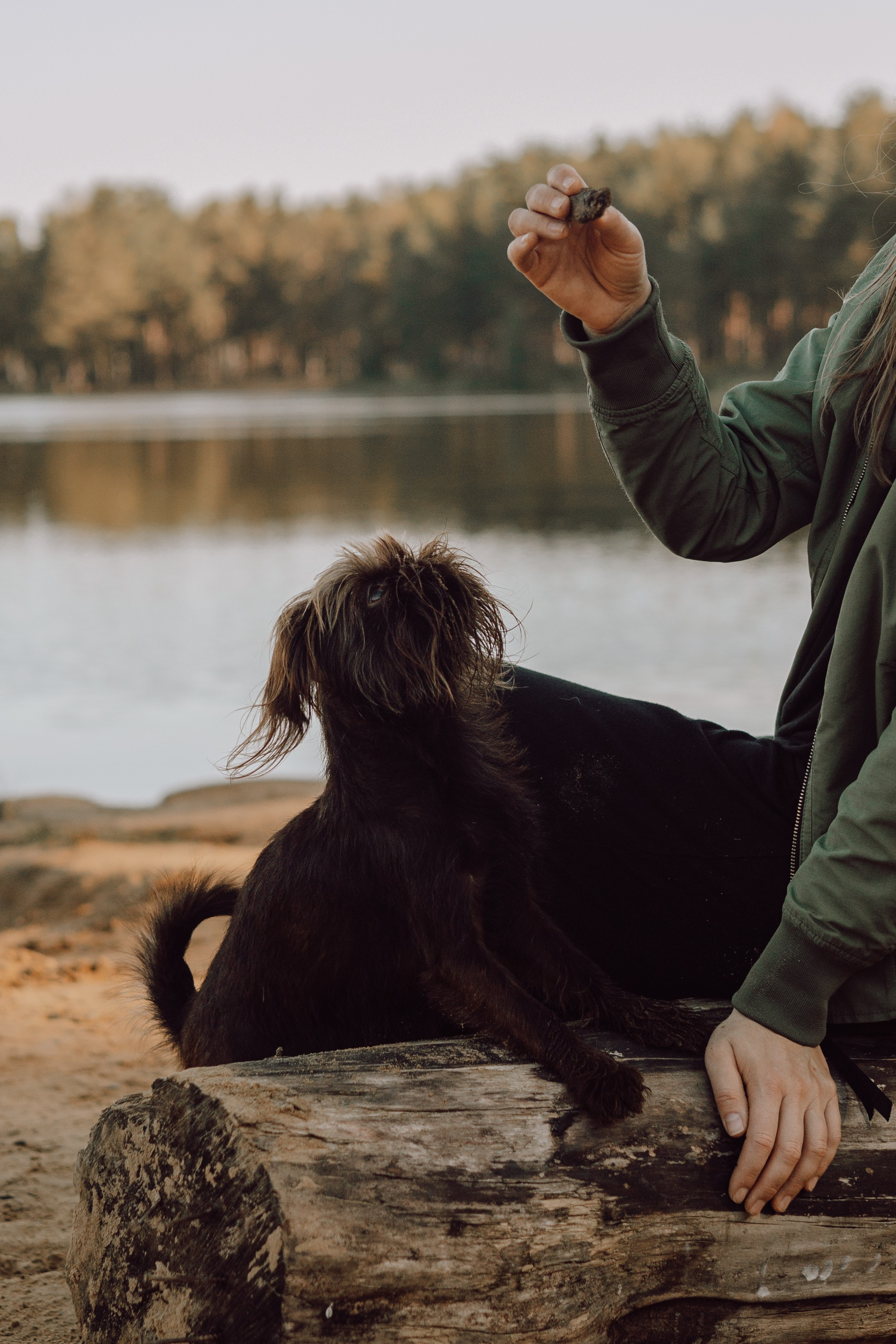 Катерина & Лунка. Фотограф — анималист •love-story•|Санкт-Петербург