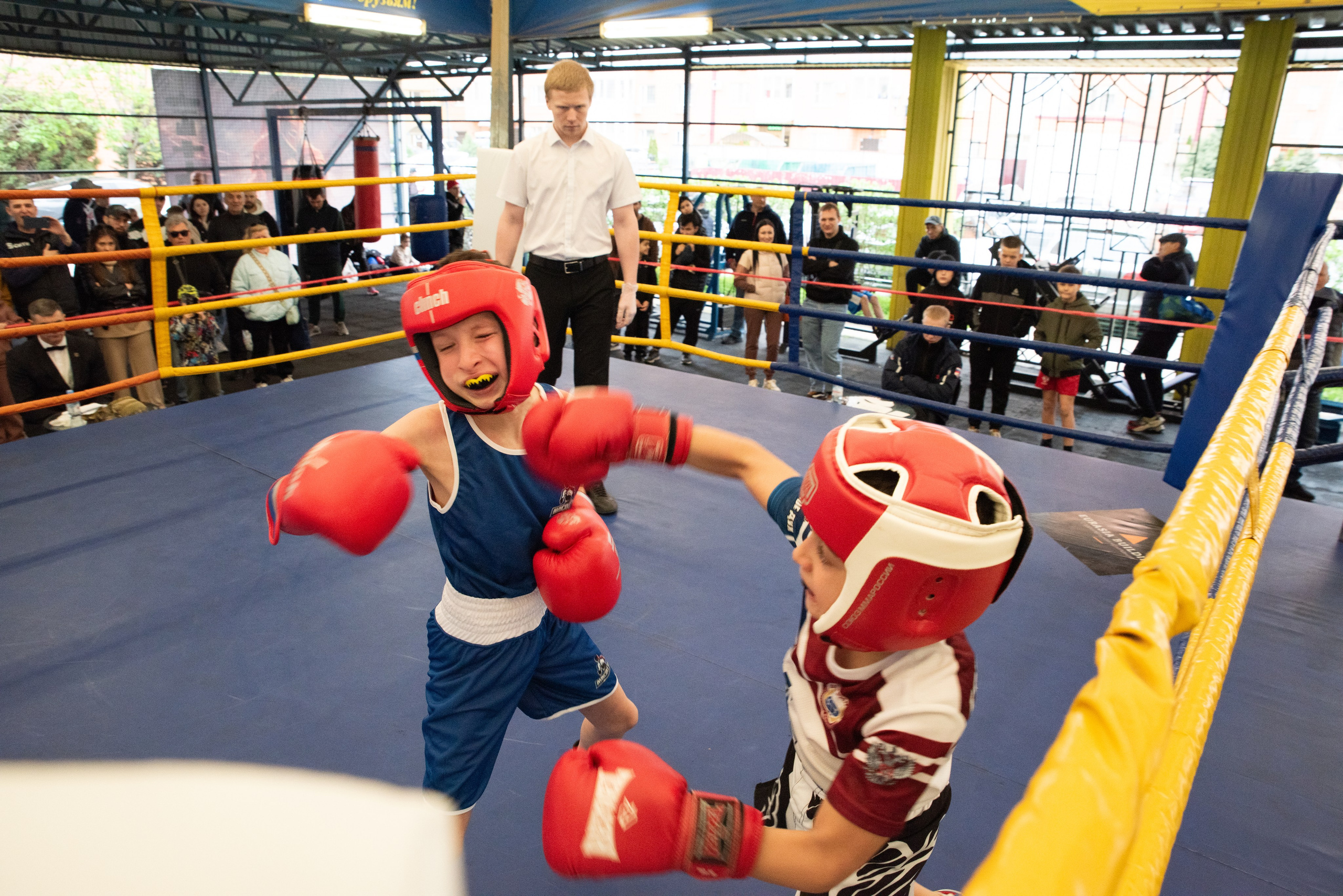 Соревнования GO FIGHT. Фотограф в Краснодаре Анна Карелина