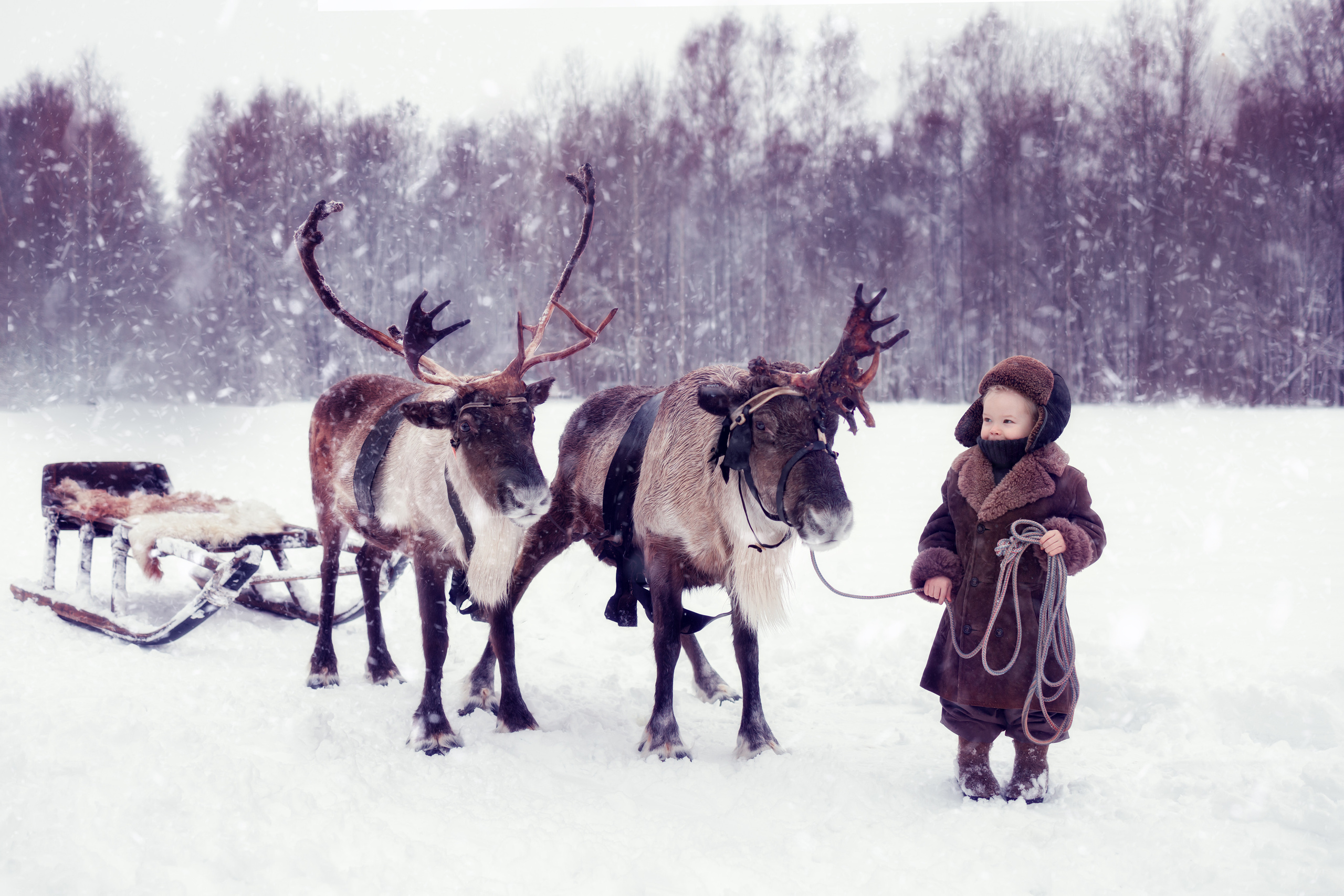 Детская фотография. Elena Fox фотограф СПб