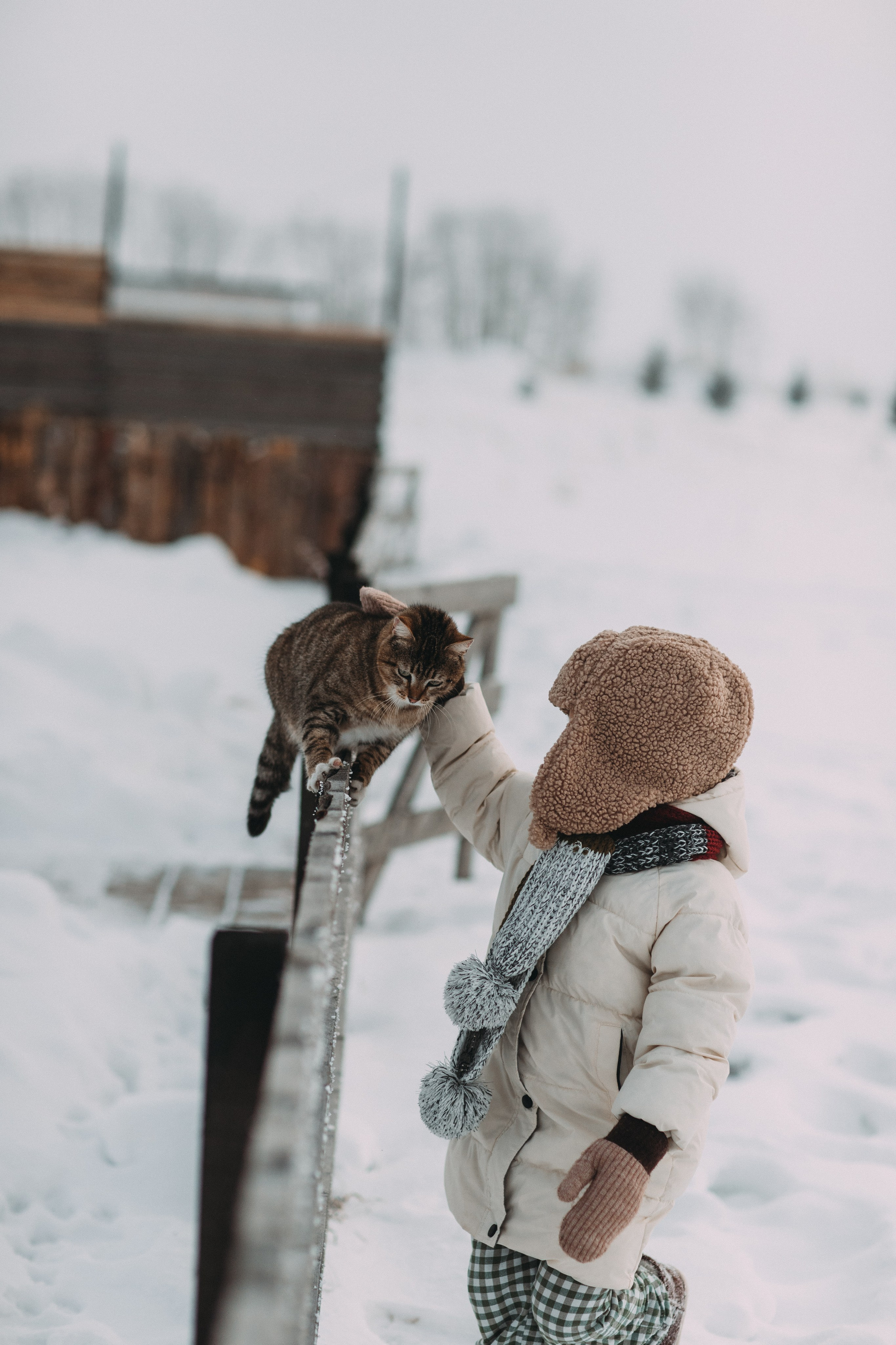 Треугольный домик. Главная