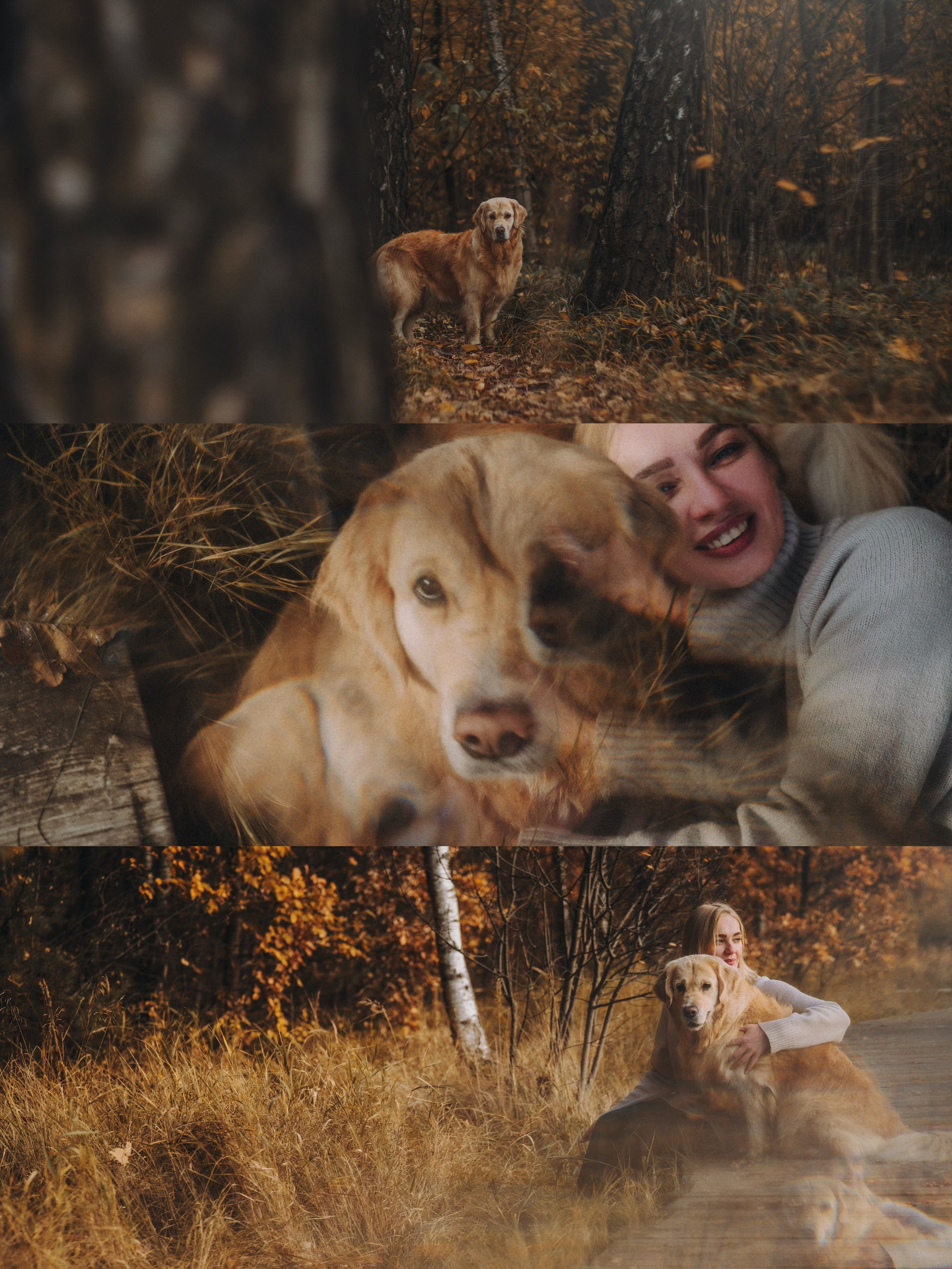 Анастасия и Айза. Фотограф анималист в Москве и Санкт-Петербурге Свиридова Анна