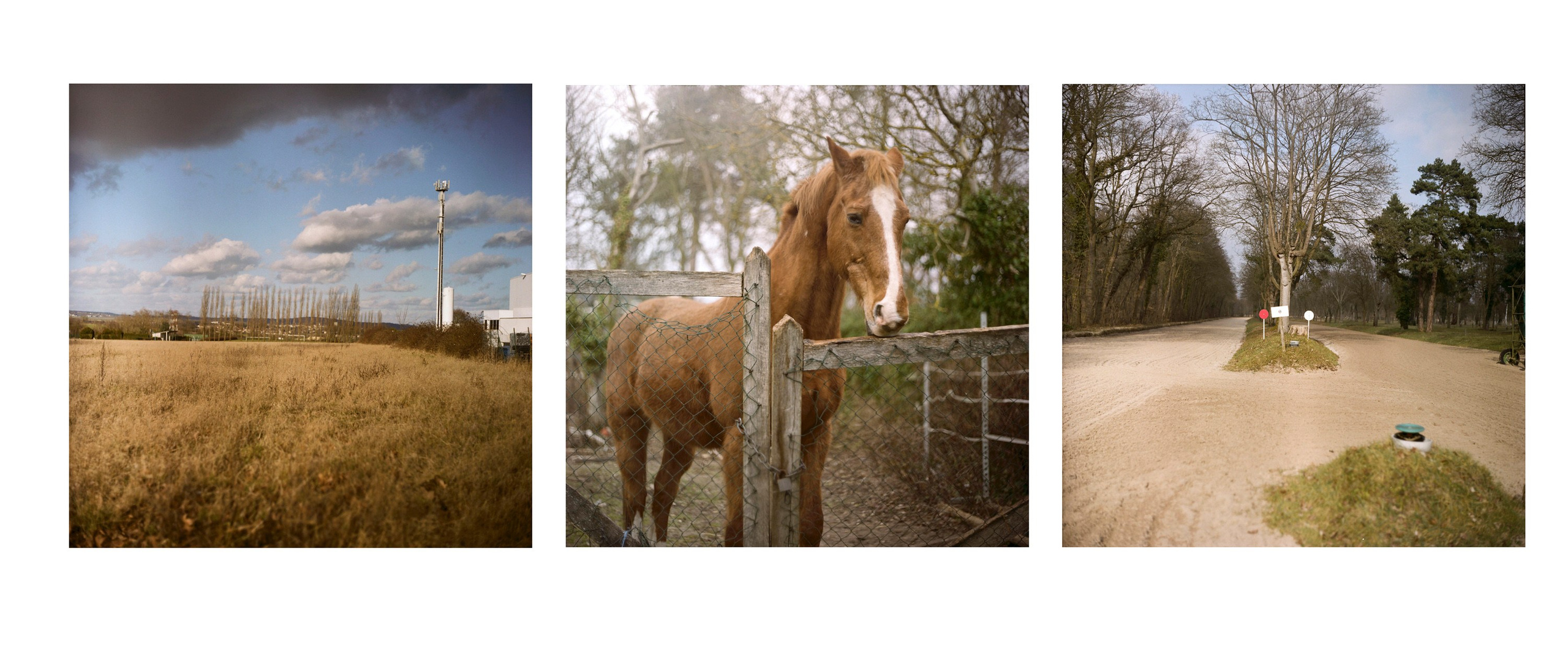 Tor. Katya Zimina, film photographer