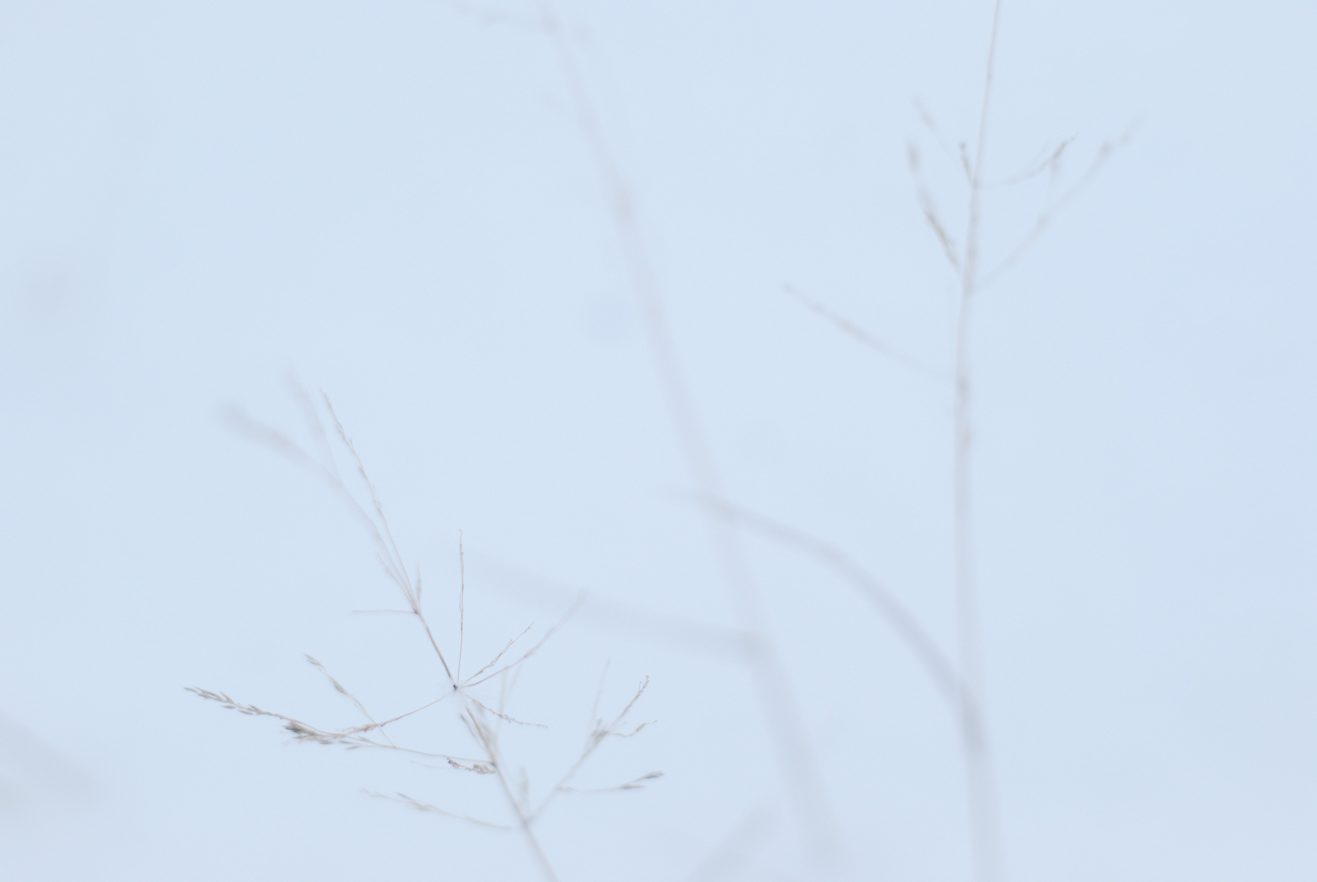 Этот прекрасный мир