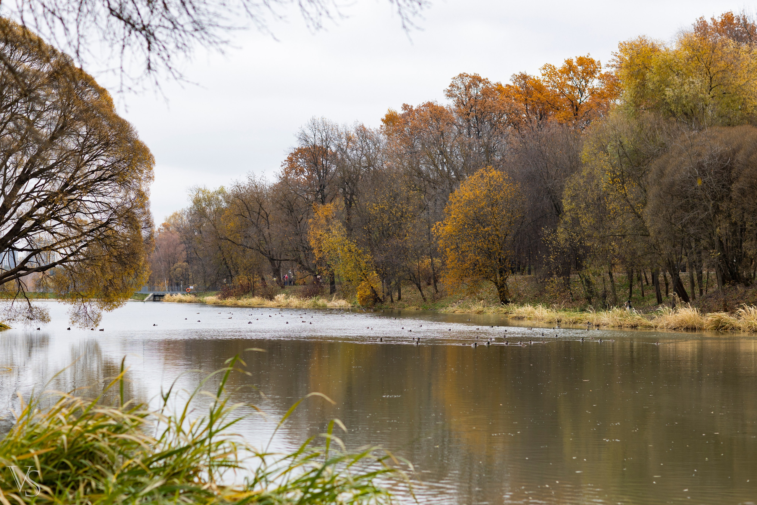Пейзажи фотографа Виктор Степанов. Фотограф Виктор Степанов