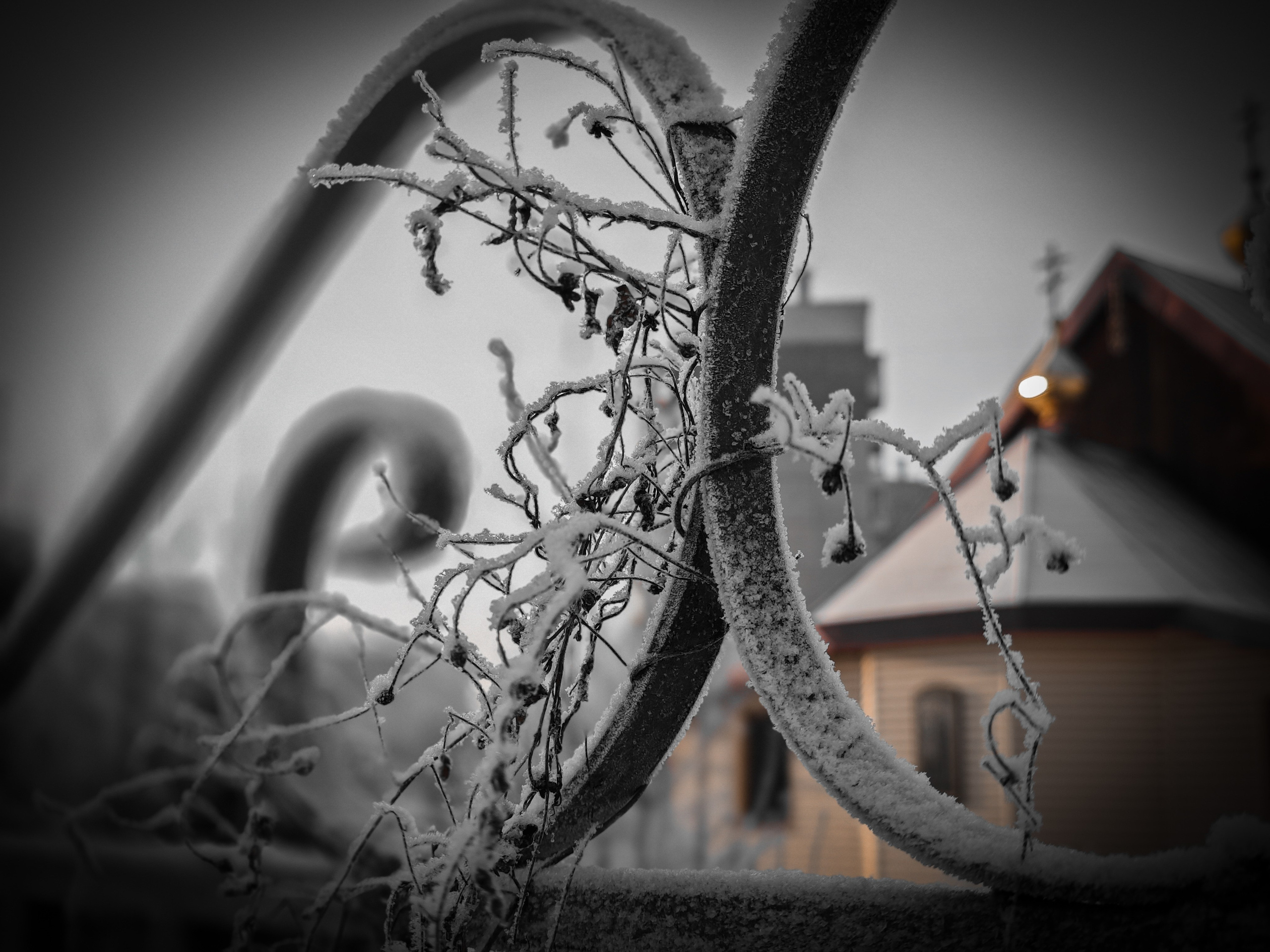 Скоро лето. Игорь Урывский. Фотограф Красноярск