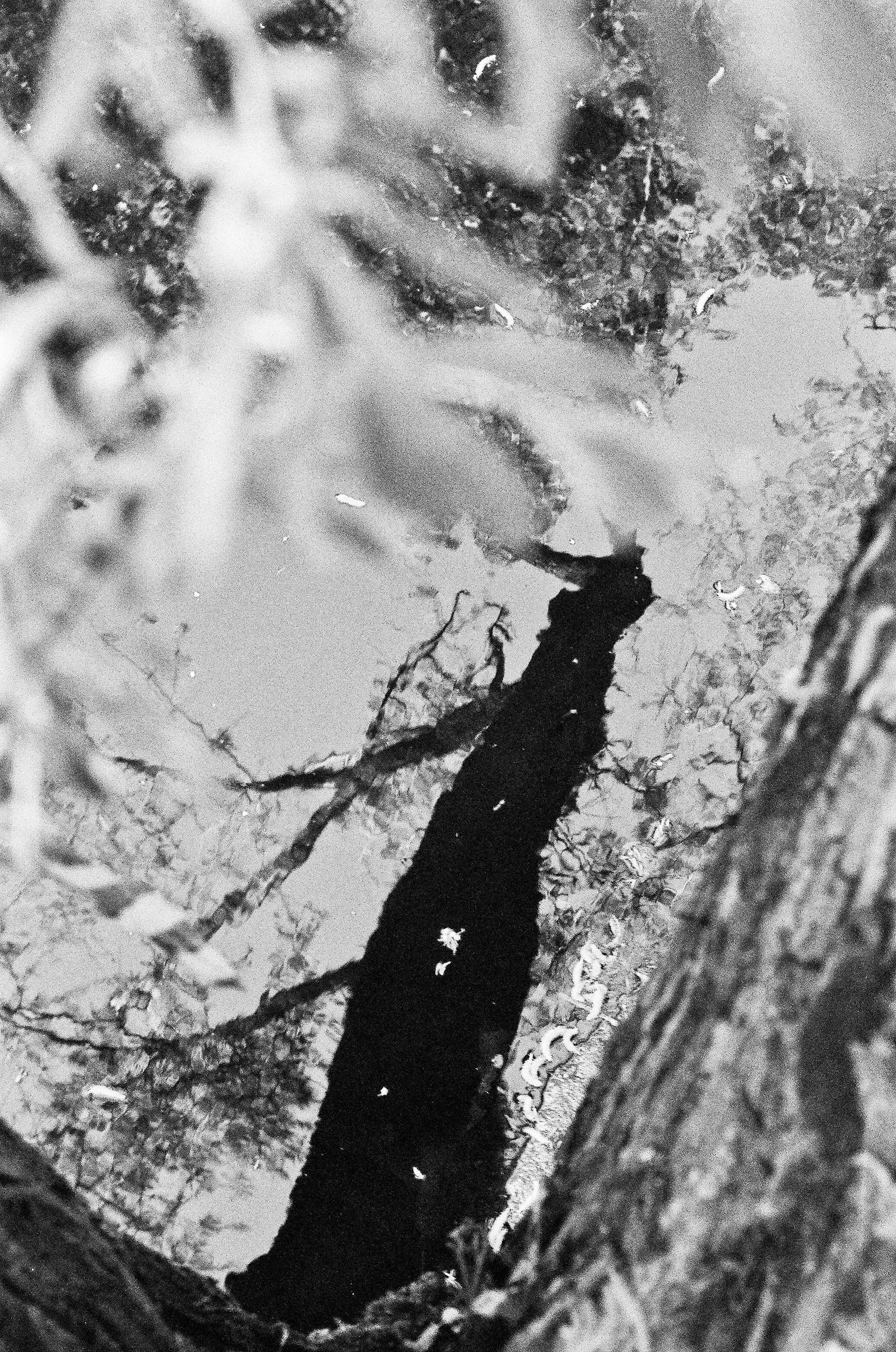 Плёнка 35/120мм. Katya Medvedeva