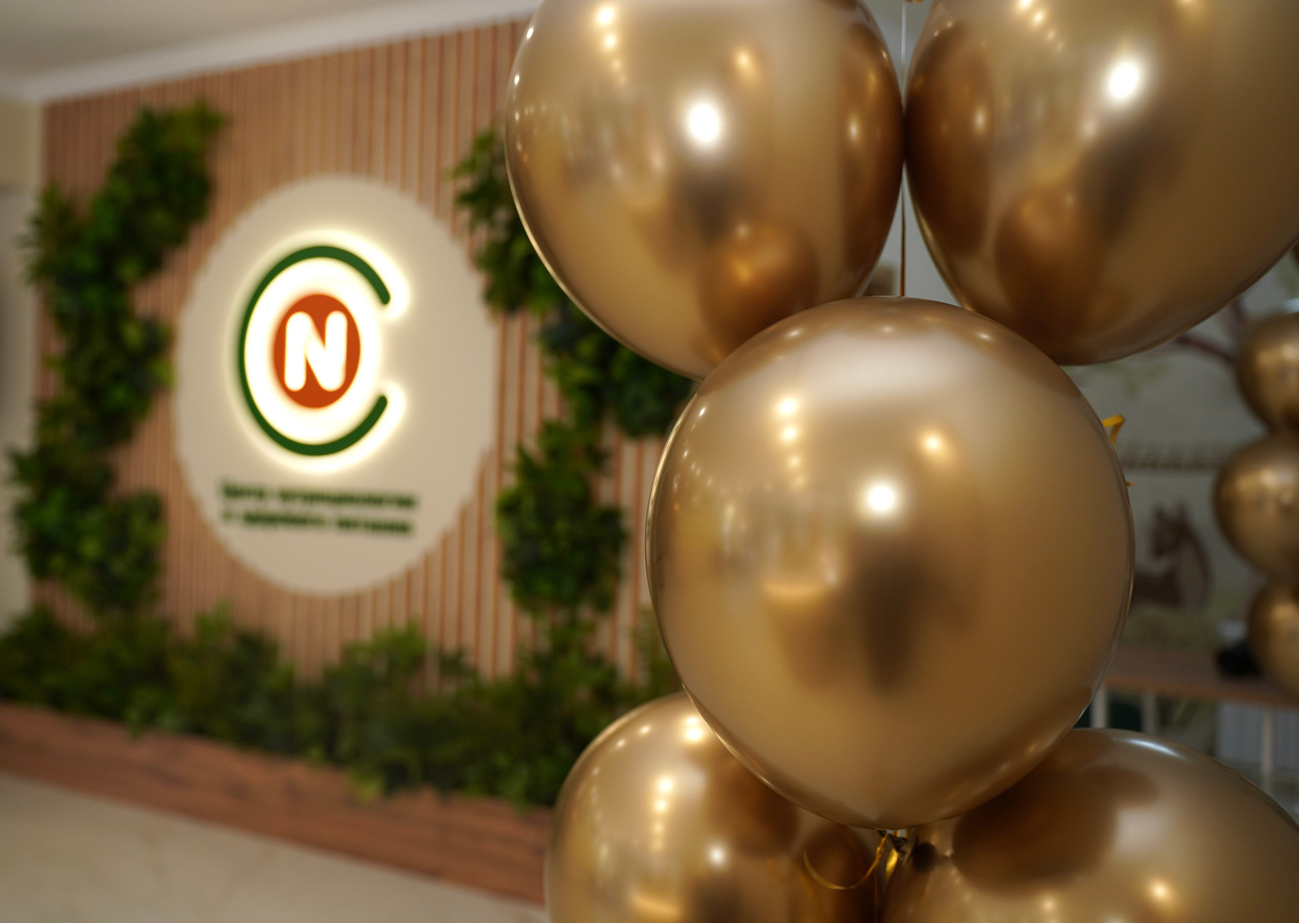 Центр нутрициологии и здорового питания. Фотограф Новороссийск | Геленджик и ЮФО Эльвина Ясинская