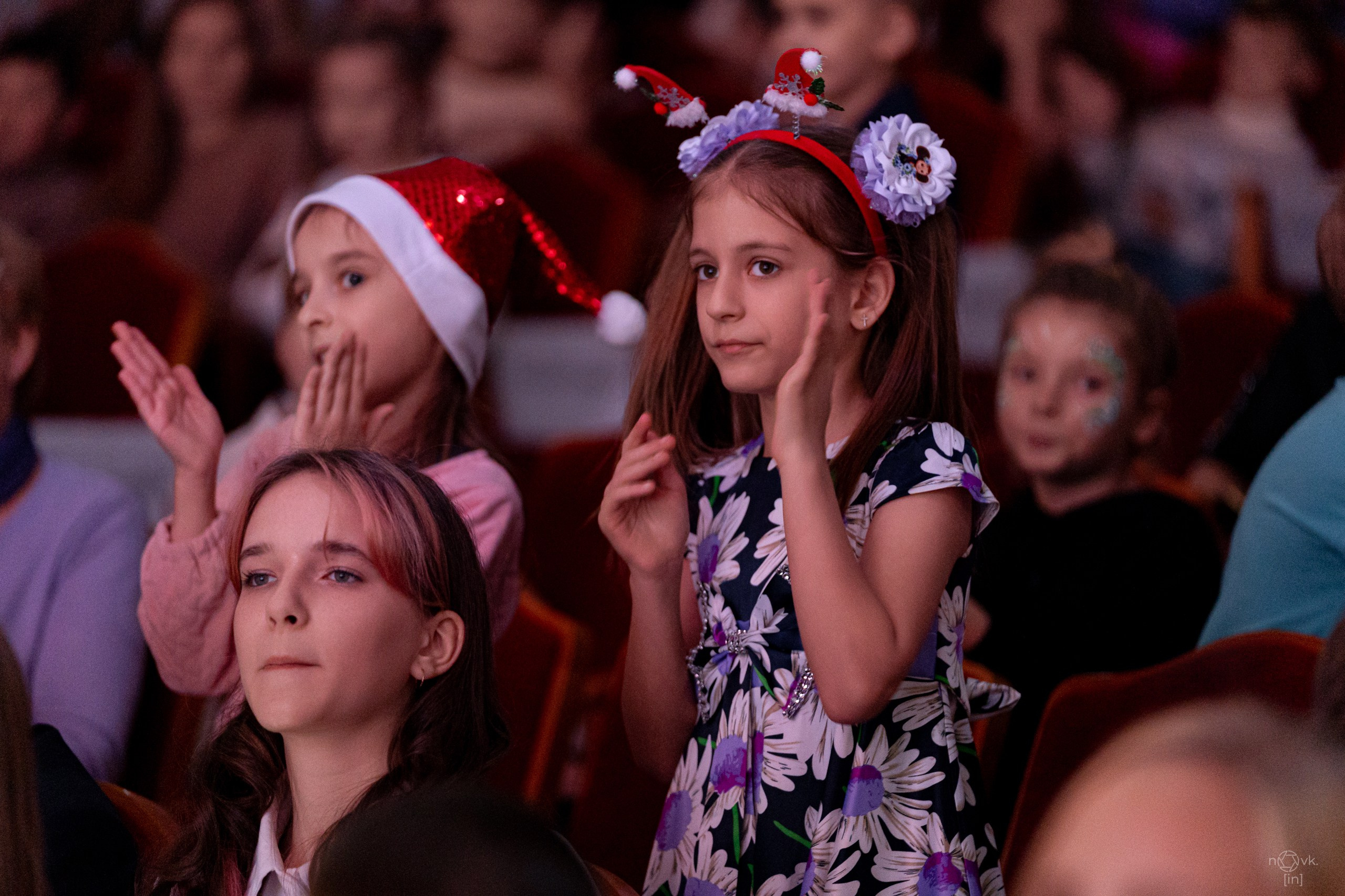 Ёлка. ФОТОГРАФ ИВАН НОВИКОВ | СТАВРОПОЛЬ