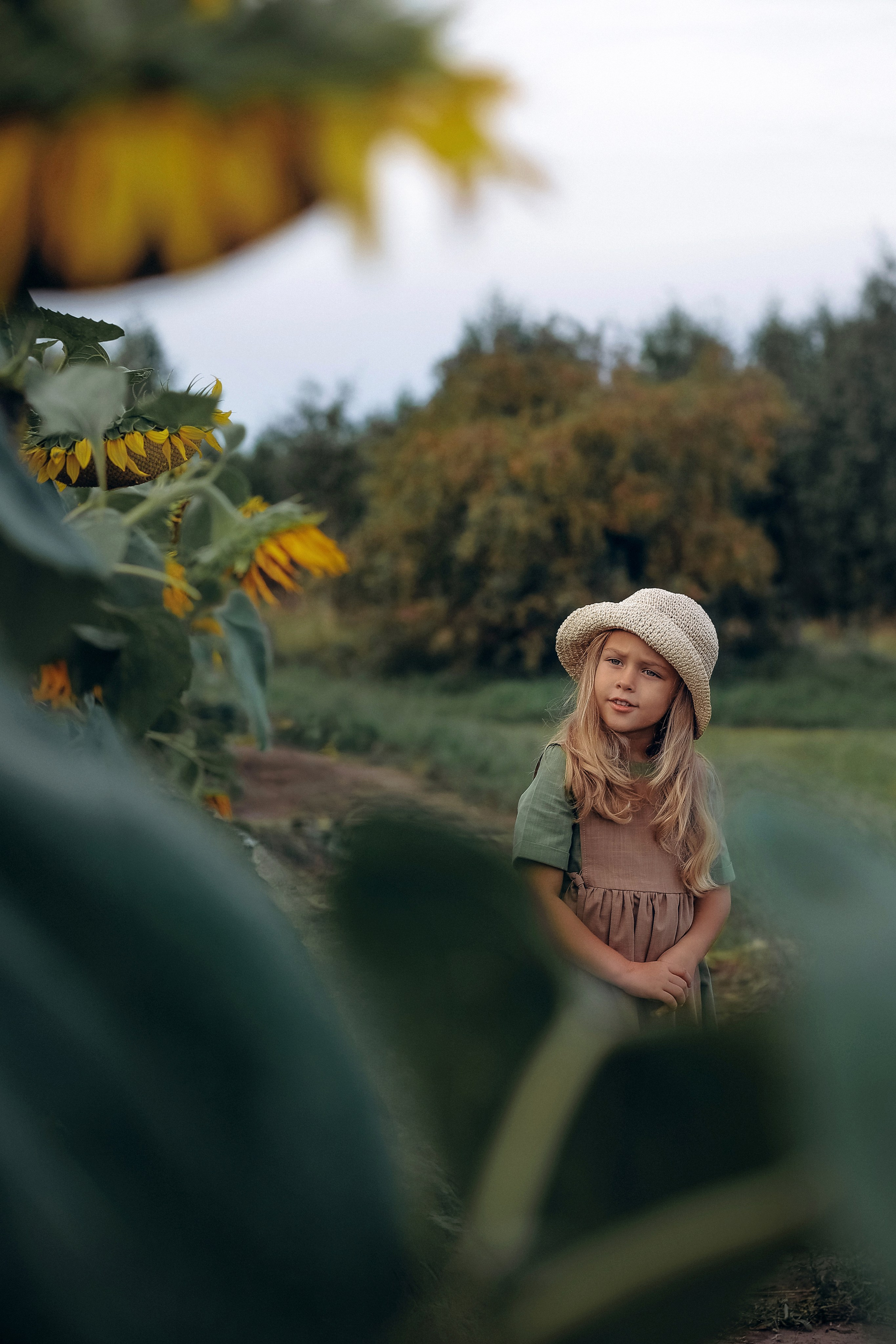 Подсолнухи. Фотограф Алина Ионычева в Новосибирске