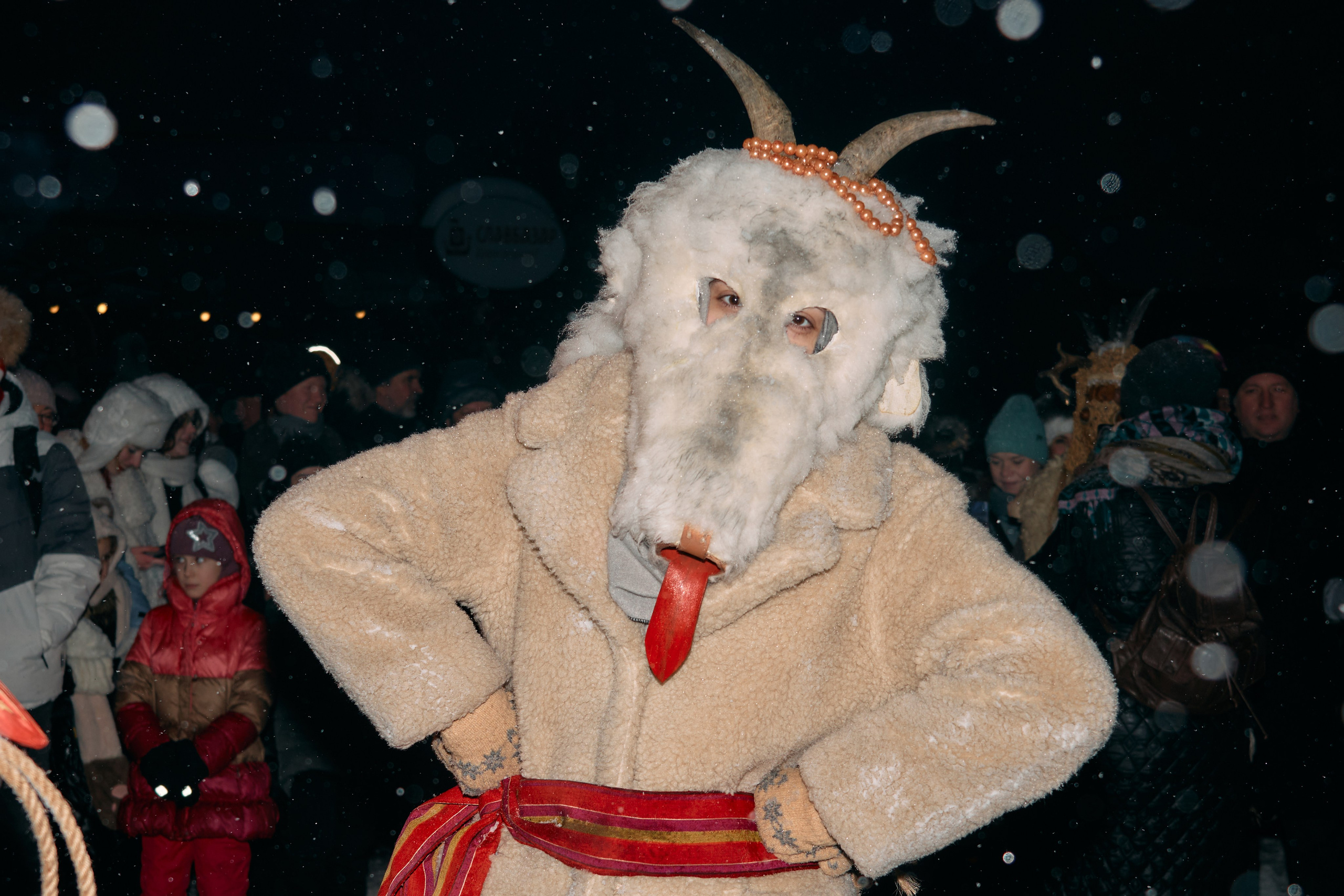 С медведем по соседям. Фотограф