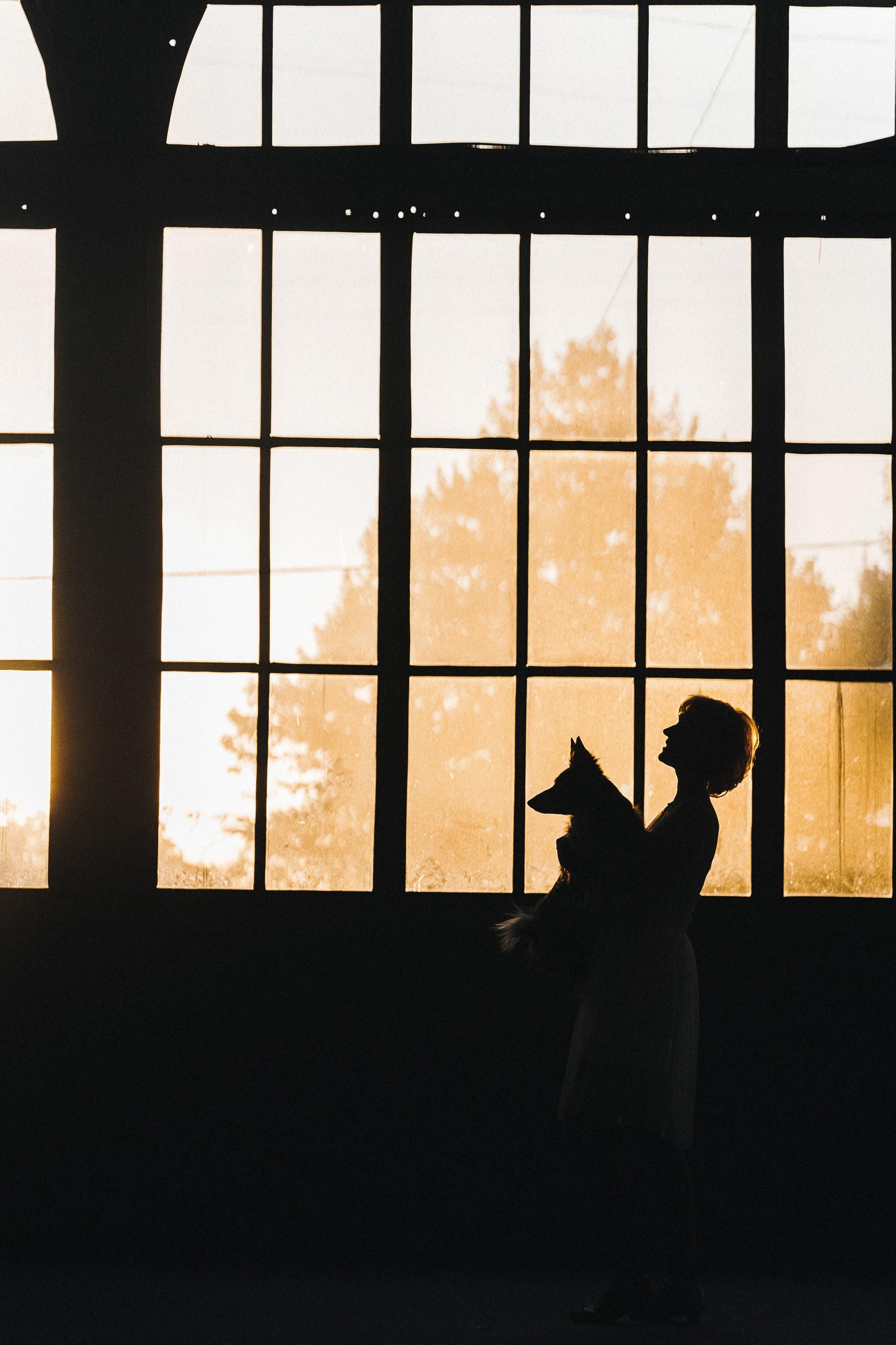 Таня, Марта и Клипса. Фотограф анималист в Москве и Санкт-Петербурге Свиридова Анна