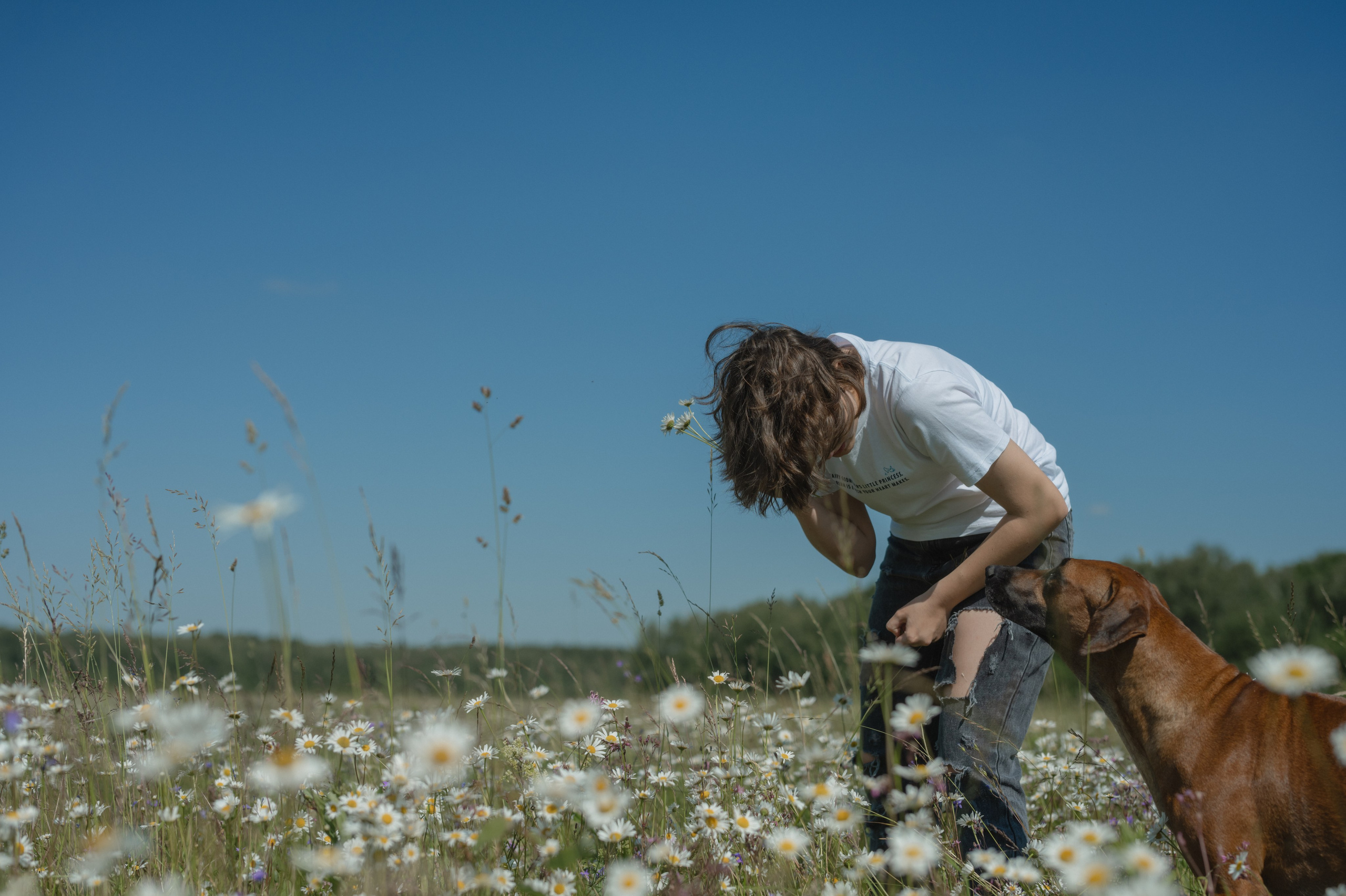 Белла ❤️. Семейный фотограф и анималист в Москве и Московской области