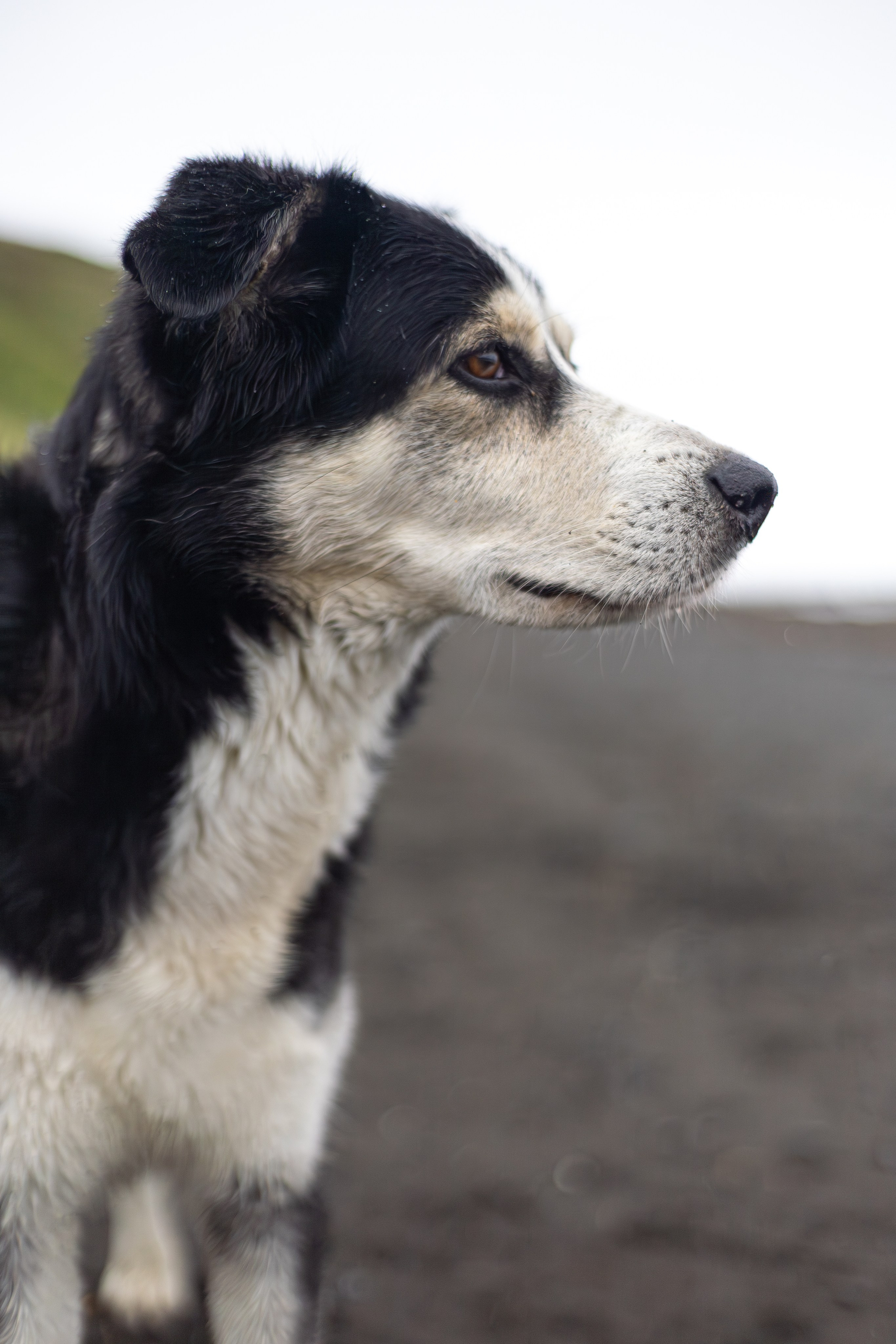Мыс Евстафия. Фотограф в Южно-Сахалинске Гусаков Евгений