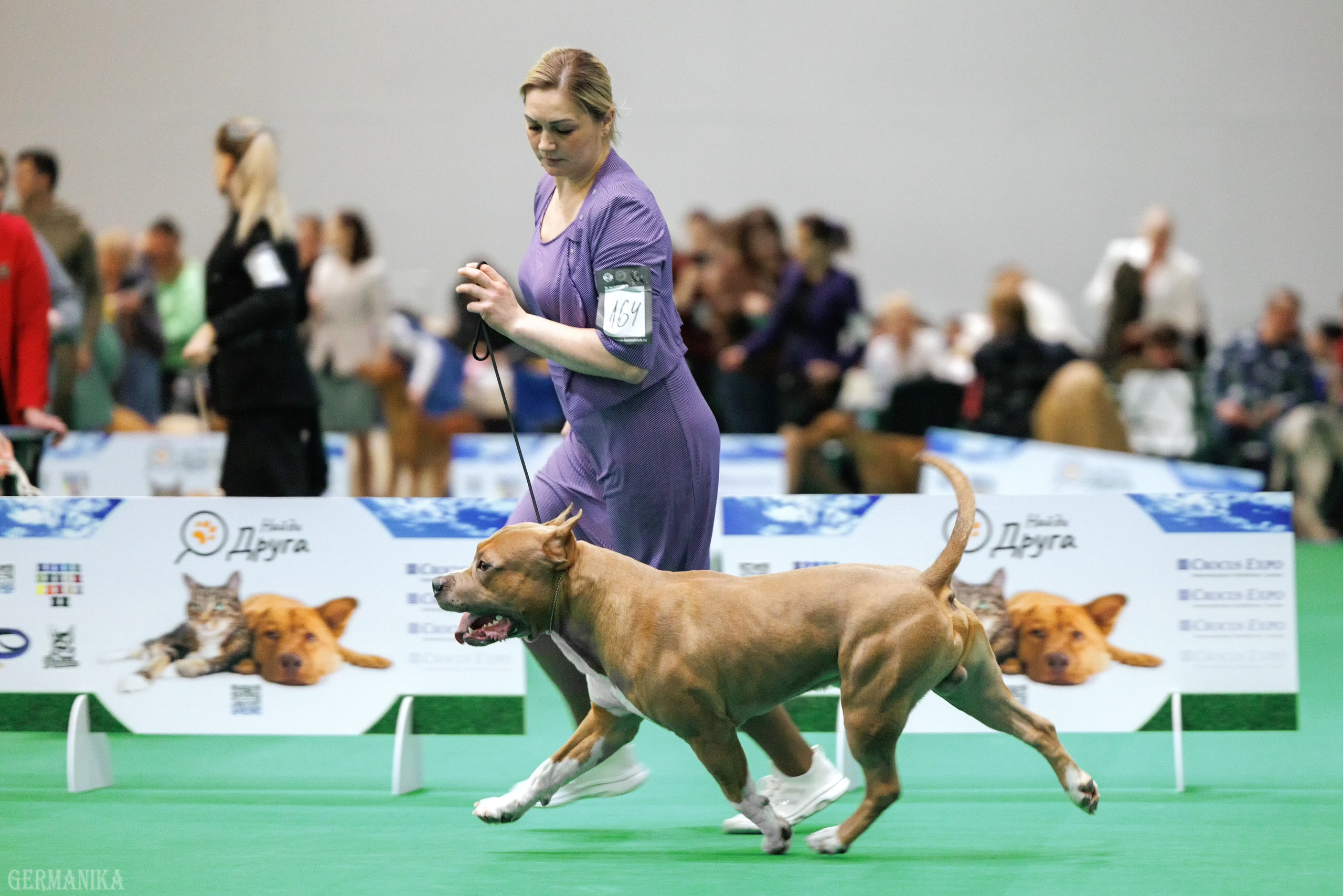 Крокус 10.02,Сфера 11.02.2024. Фотограф-анималист Юлия Германика