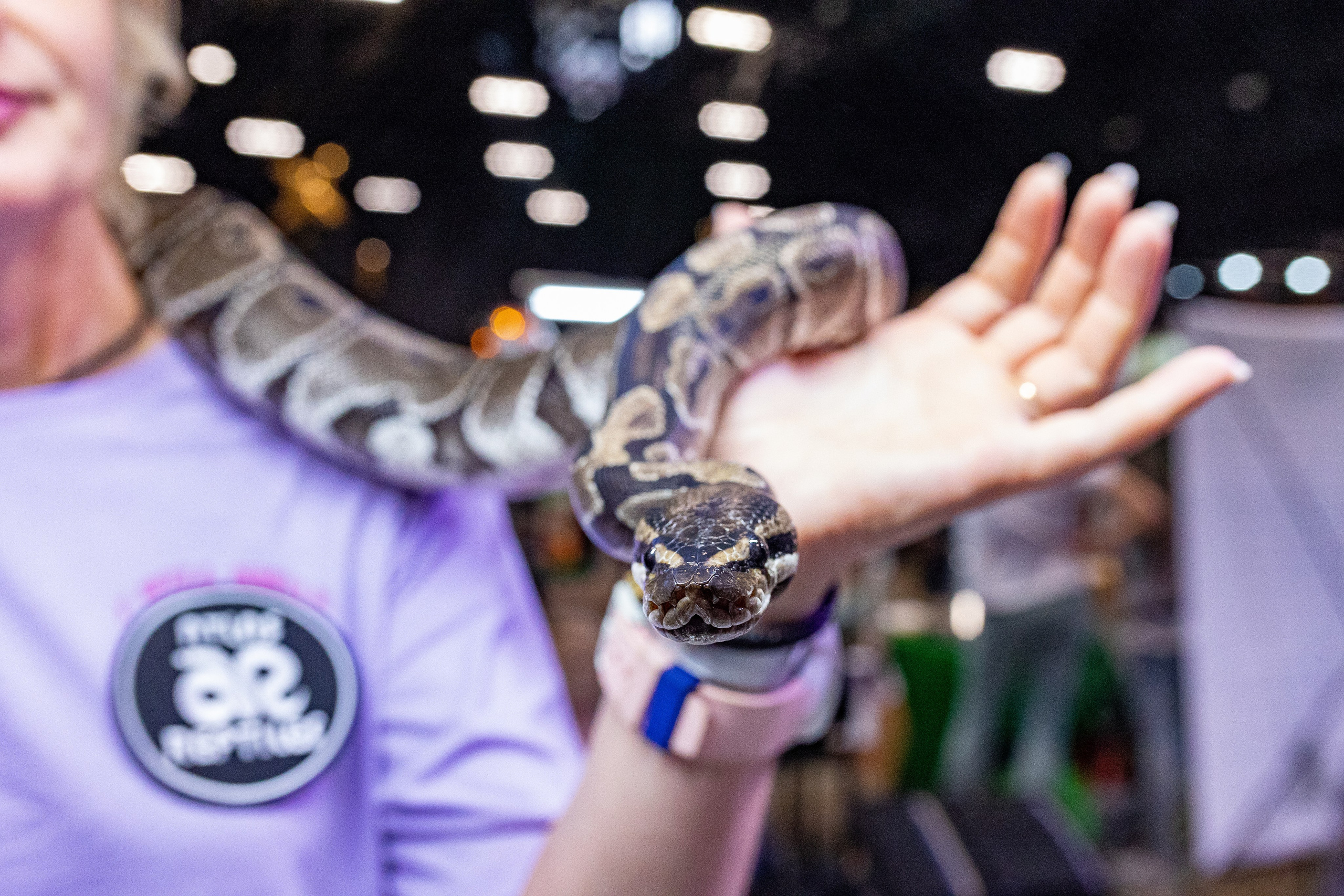 Рептилиум 2024. Александра Куликова фотограф, Москва